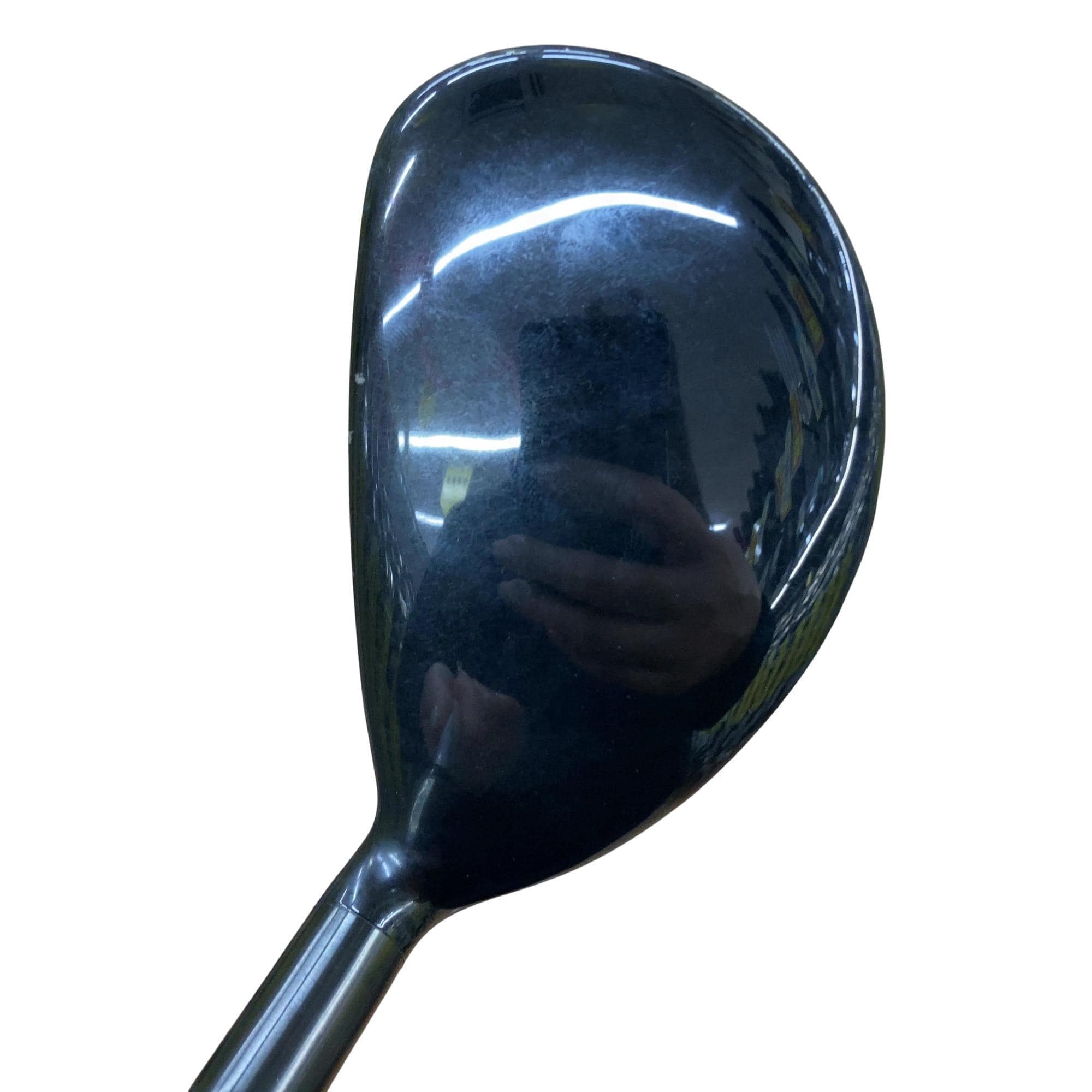 �w�@�g�n�s�@�t�S