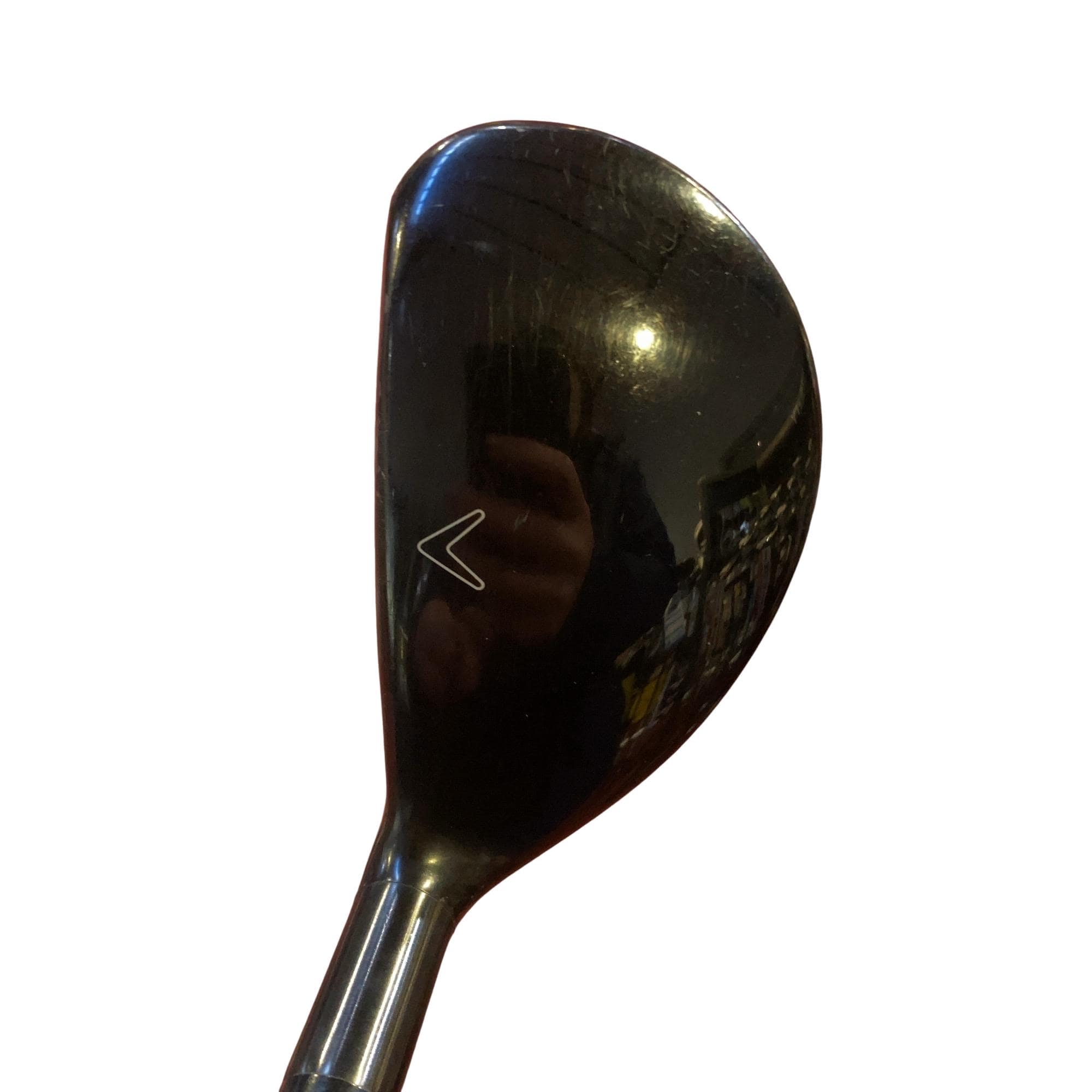 �w�Q�@�g�n�s�@�t�S