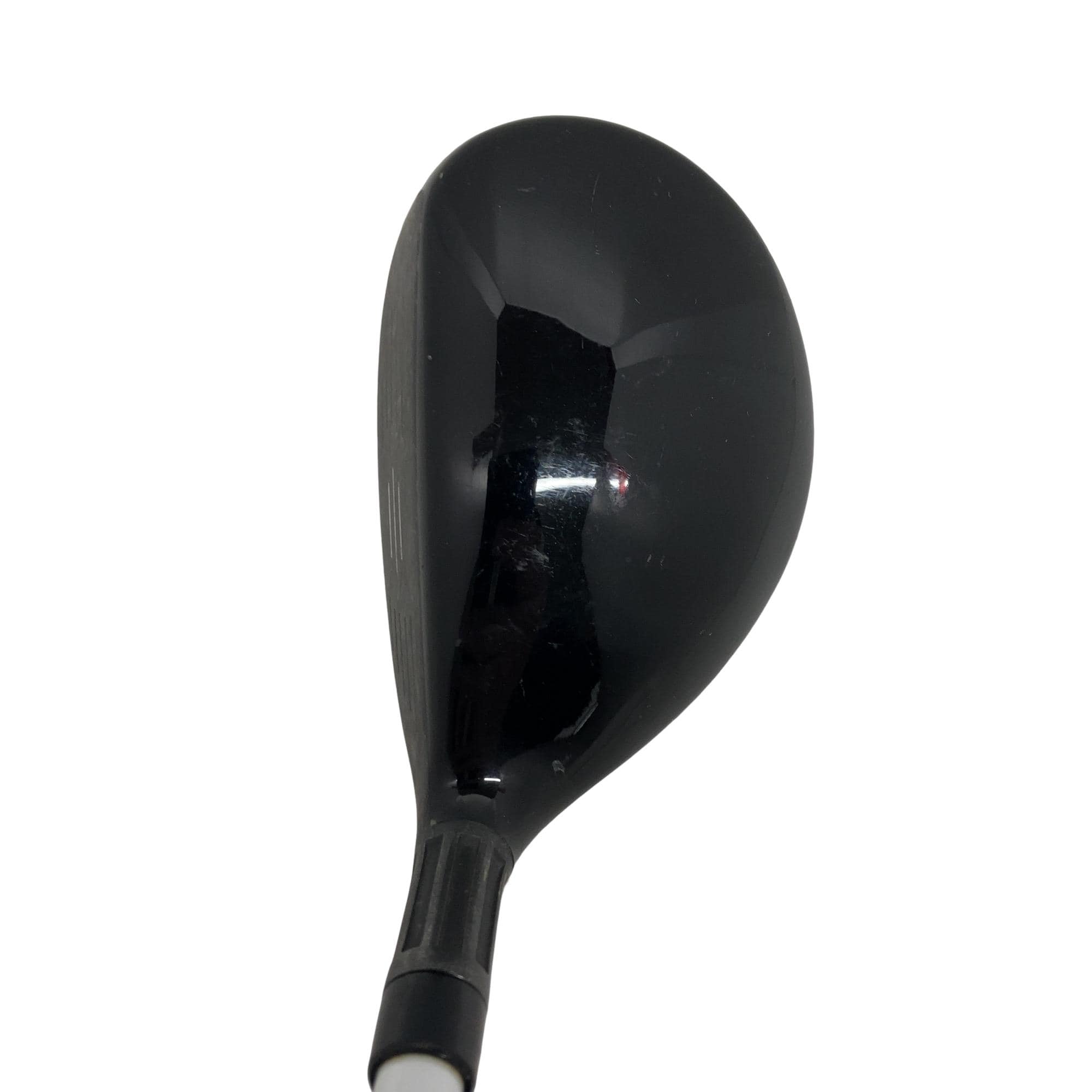 �l�Q�@�t�T�@���f�B�[�X