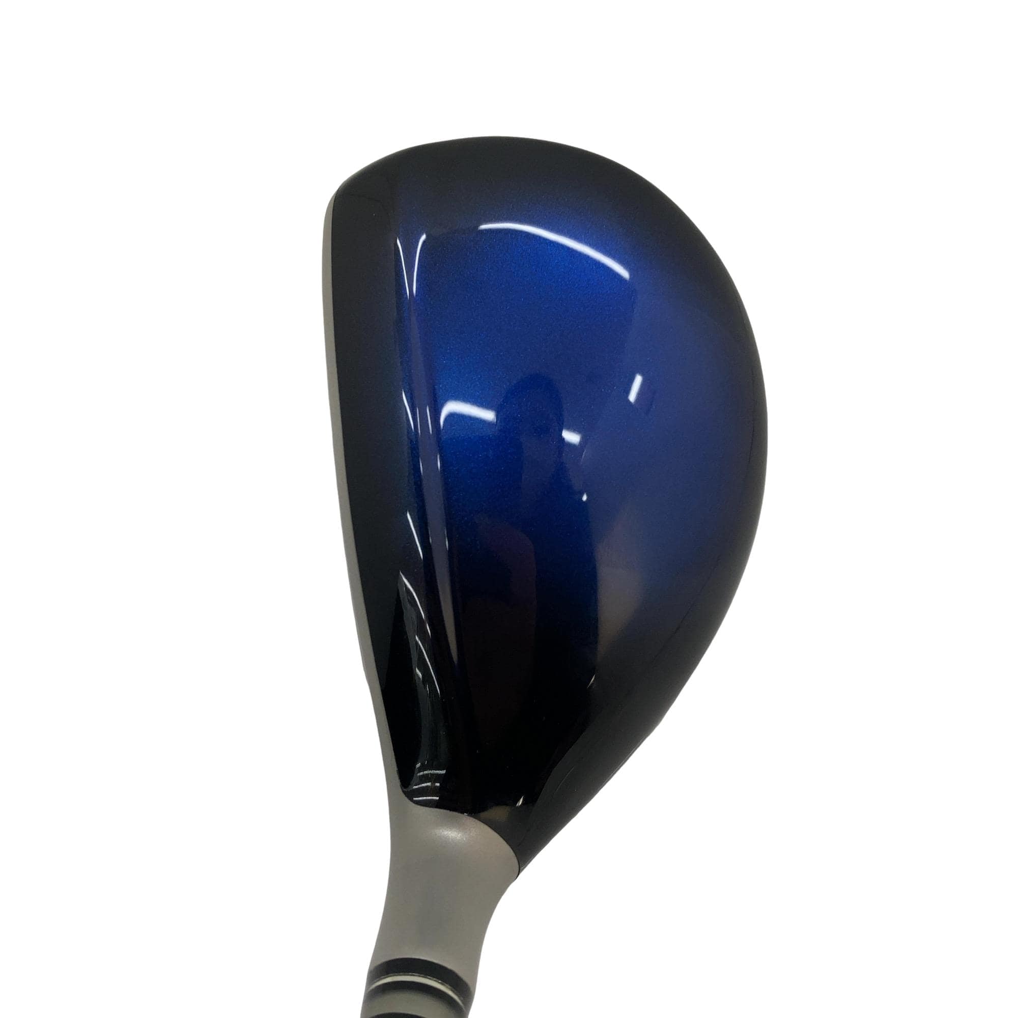 �w�w�h�n�i�Q�O�P�W�j�@�g�R