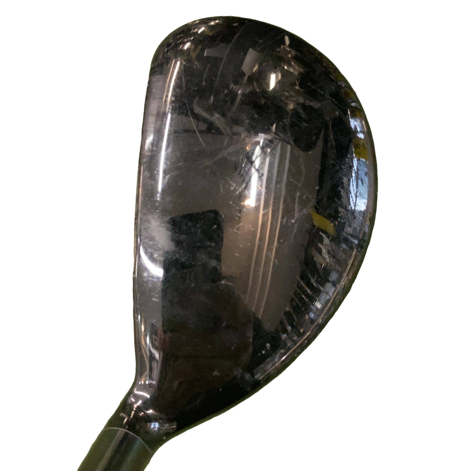 �w�@�g�n�s�@�t�S