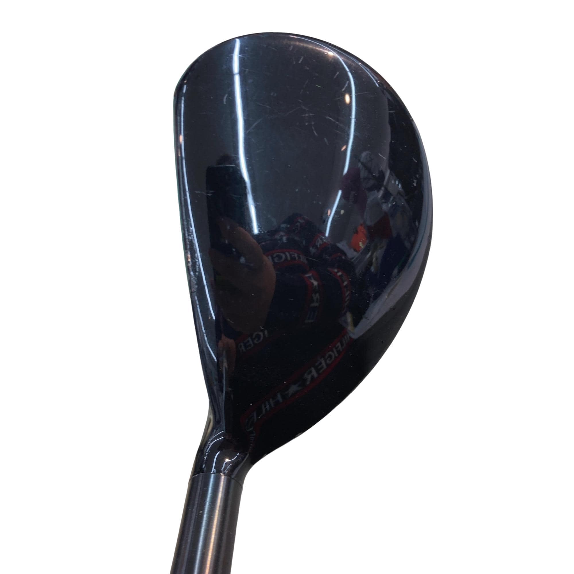 �w�@�g�n�s�@�t�R