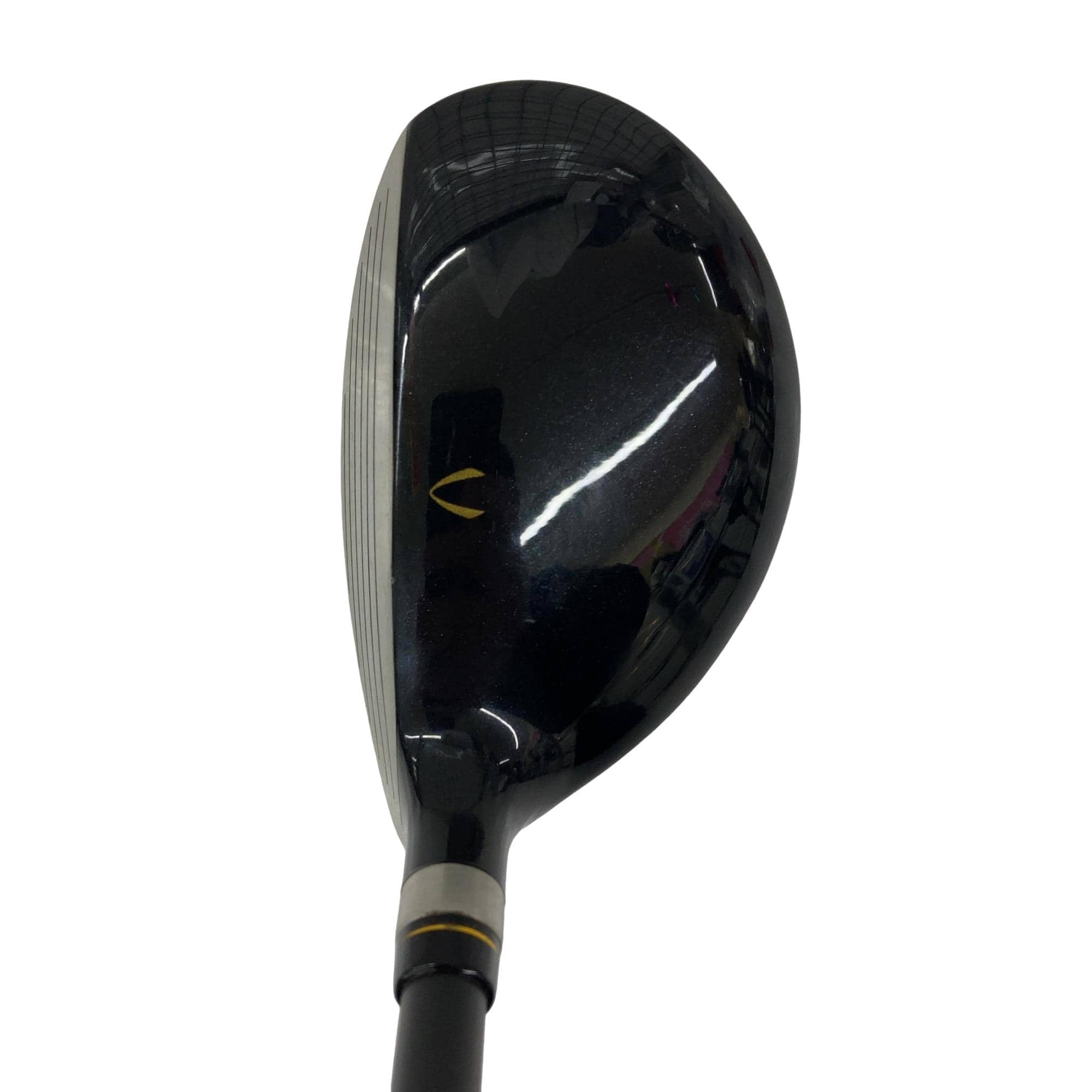 �j�Q�j�@���������O�X���[�e�B���e�B�@�t�T