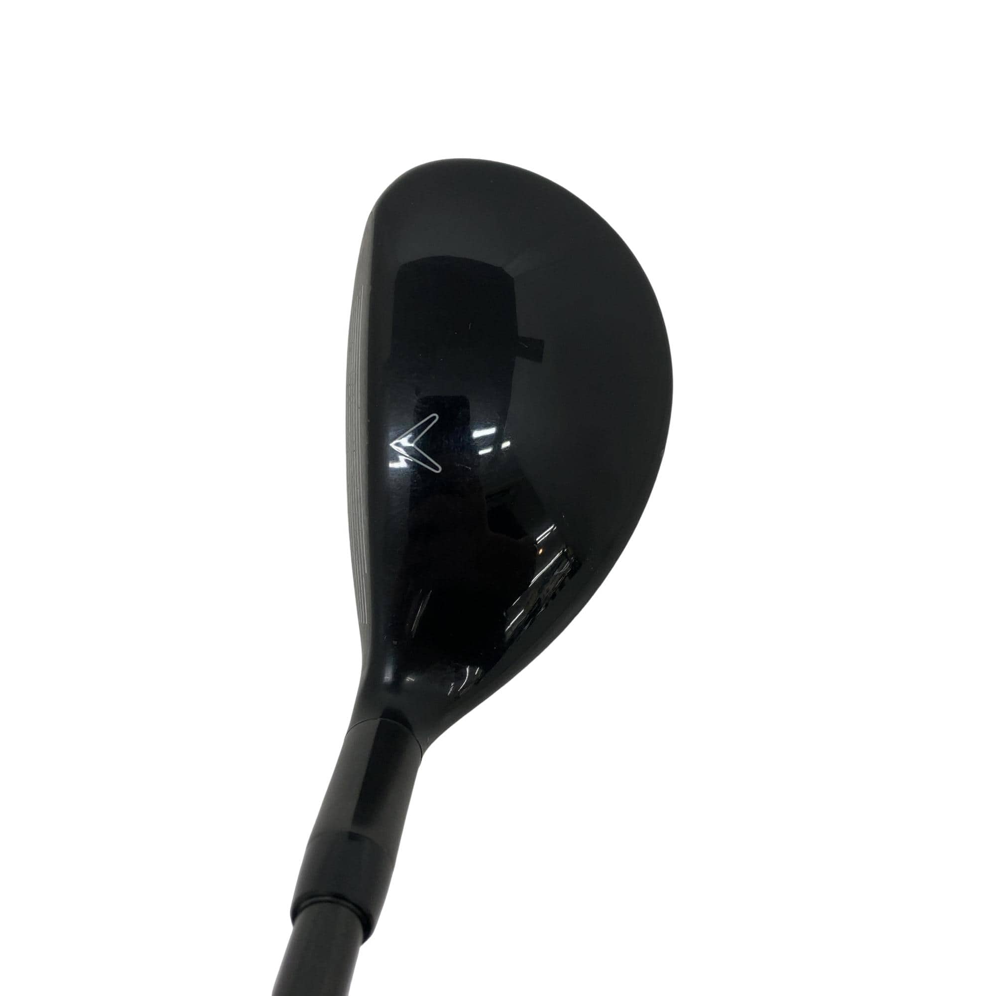 �w�Q�@�g�n�s�@�t�S