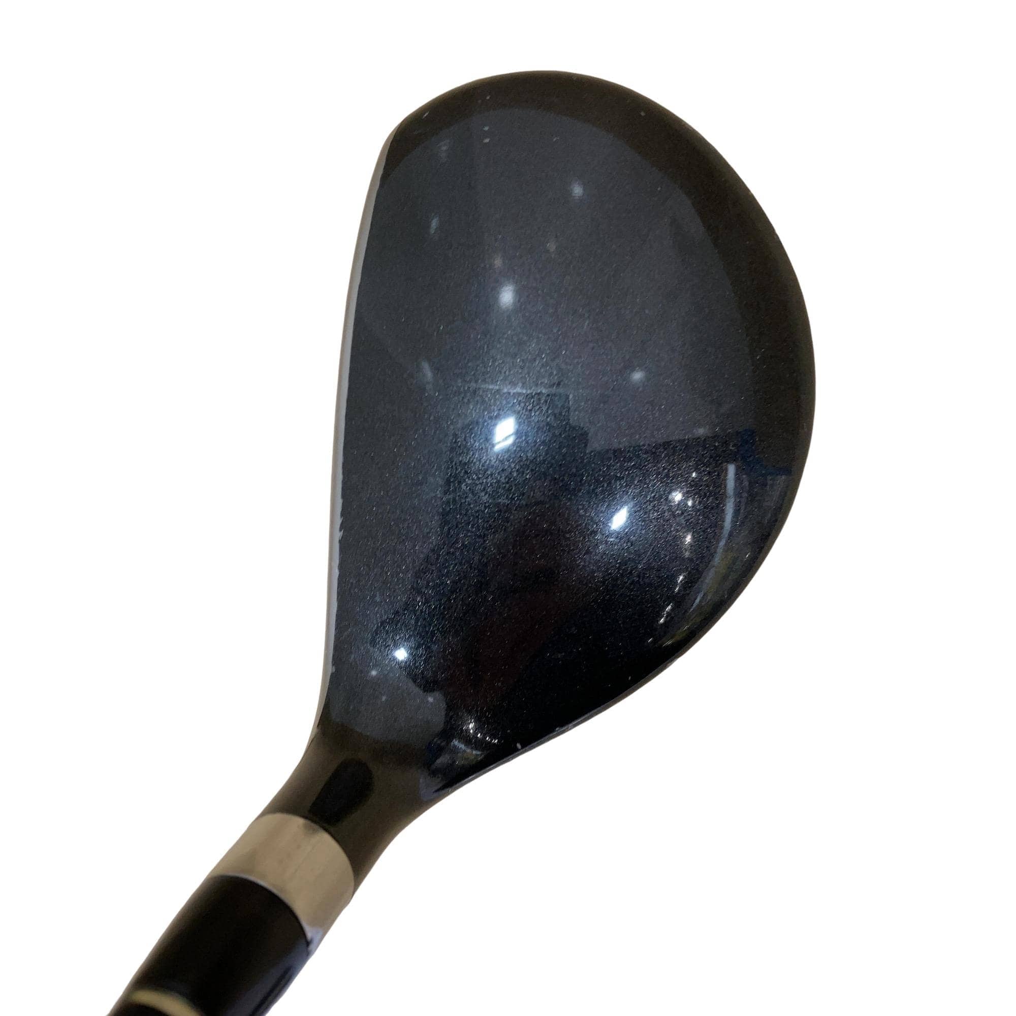 �u�q�Q�r�@���[�e�B���e�B�@�t�R