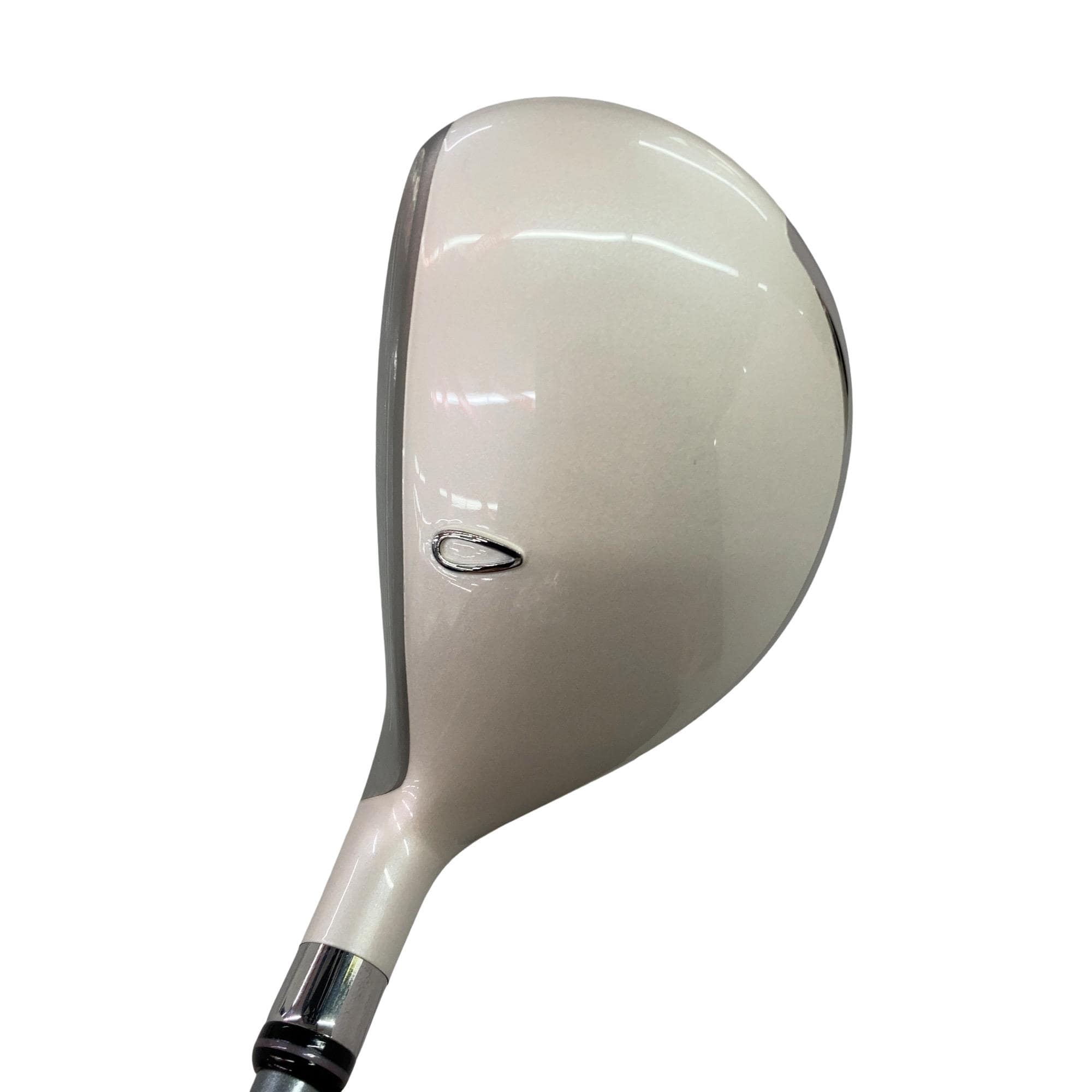 �r���������@�l���������@�l�|�P�P�@�U�t�s�@�i�O���b�V�[�s���N�j�@���f�B�[�X