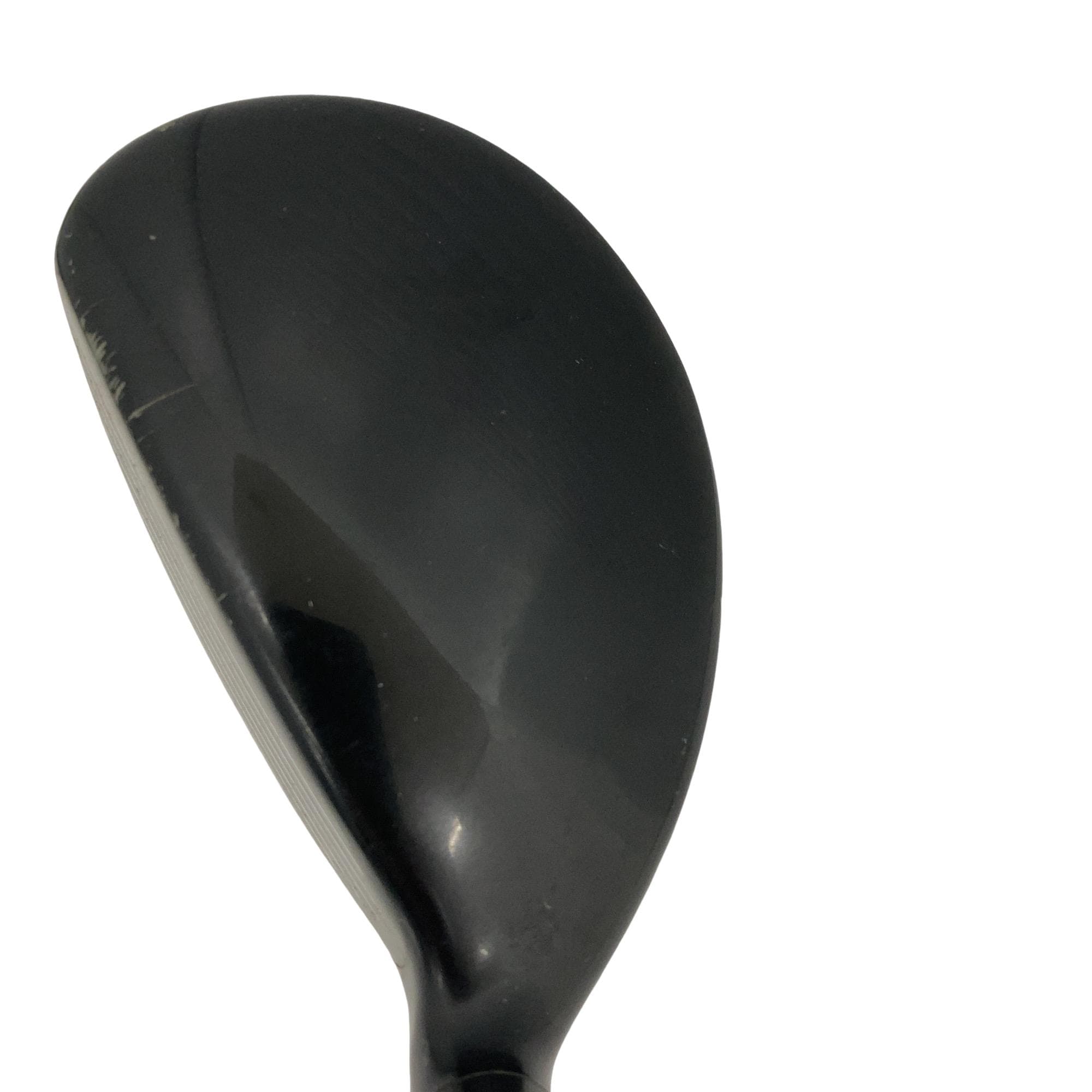 �w�@�g�n�s�@�t�S