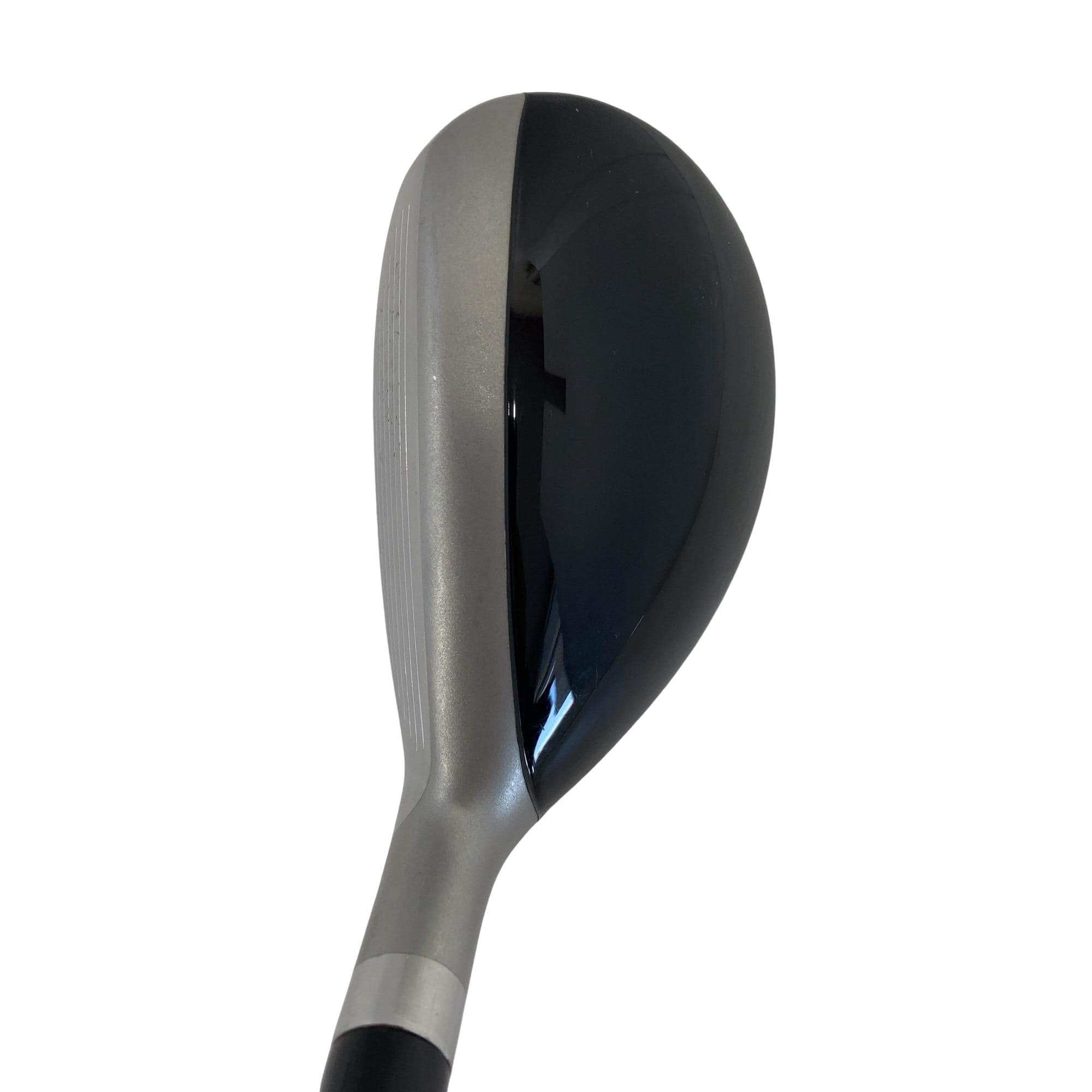 �n�m�n�e�e�@�e�`�h�q�v�`�x�@�v�h�m�f�r�i�Q�O�P�R�j�@�s�x�o�d�|�r�@�Q�S°