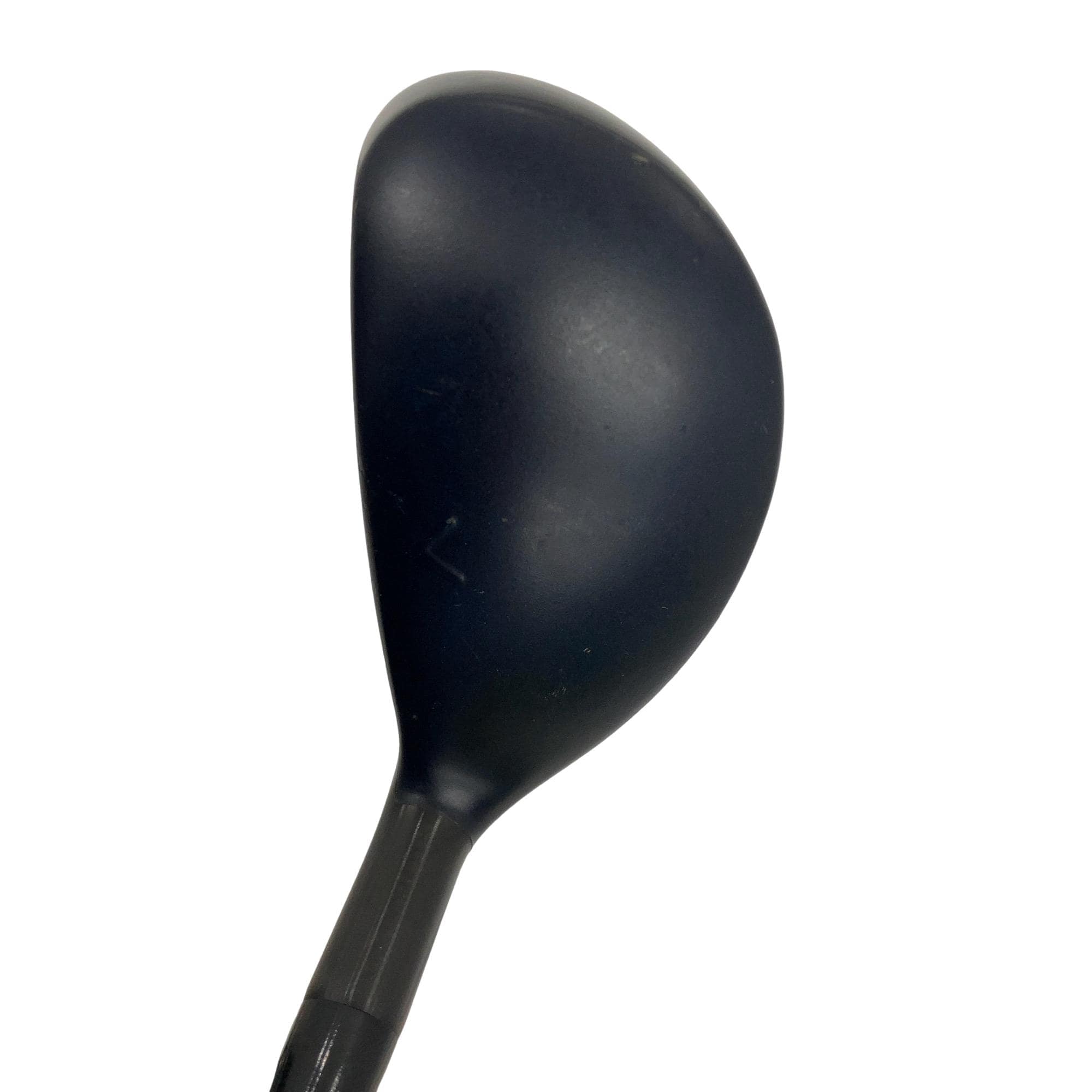 �w�q�@�t�T�@���f�B�[�X