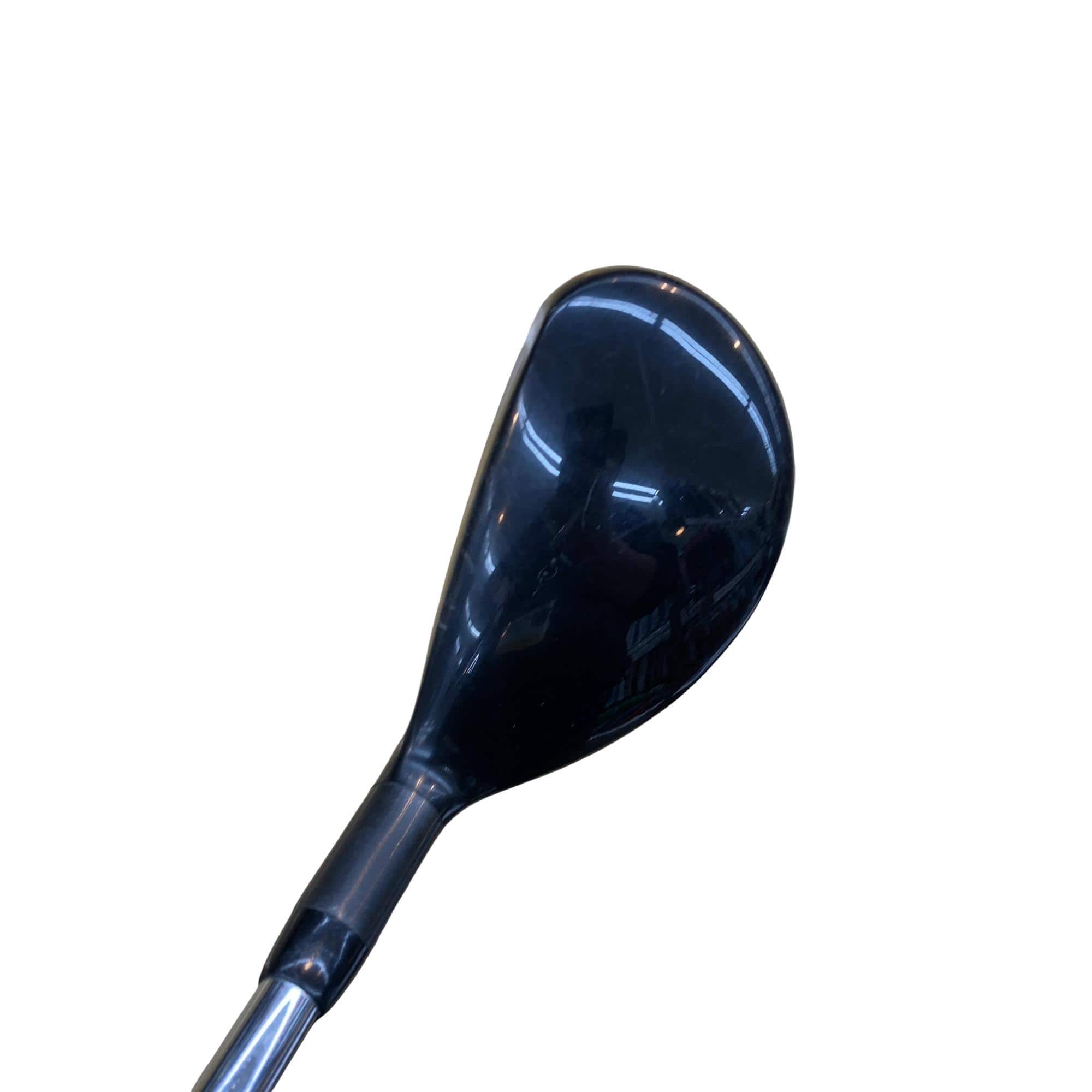 �w�Q�@�g�n�s�@�o�q�n�@�P�W°