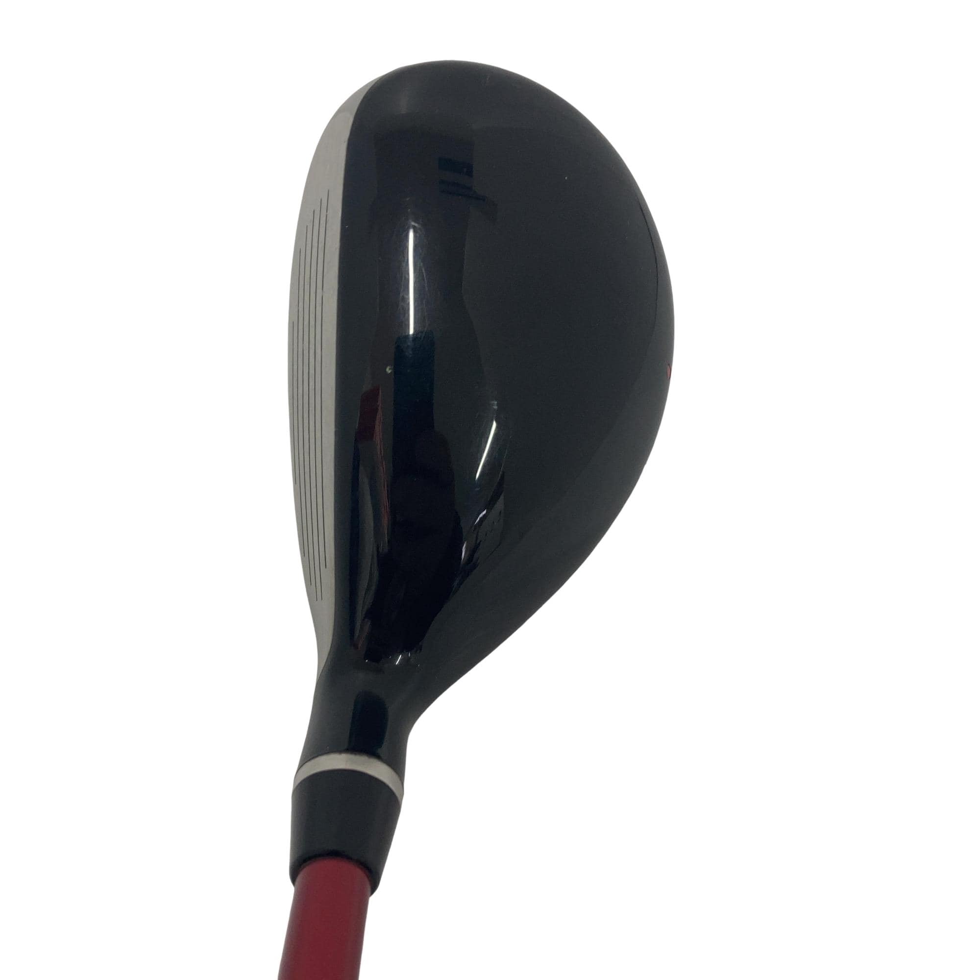 �q�l�w�@�u�c�@�t�T