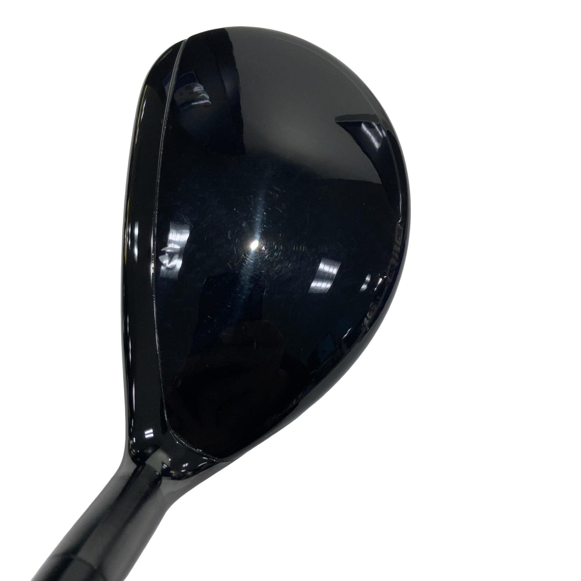 �p���P�O�@�l�`�w�@�t�S�@���f�B�[�X