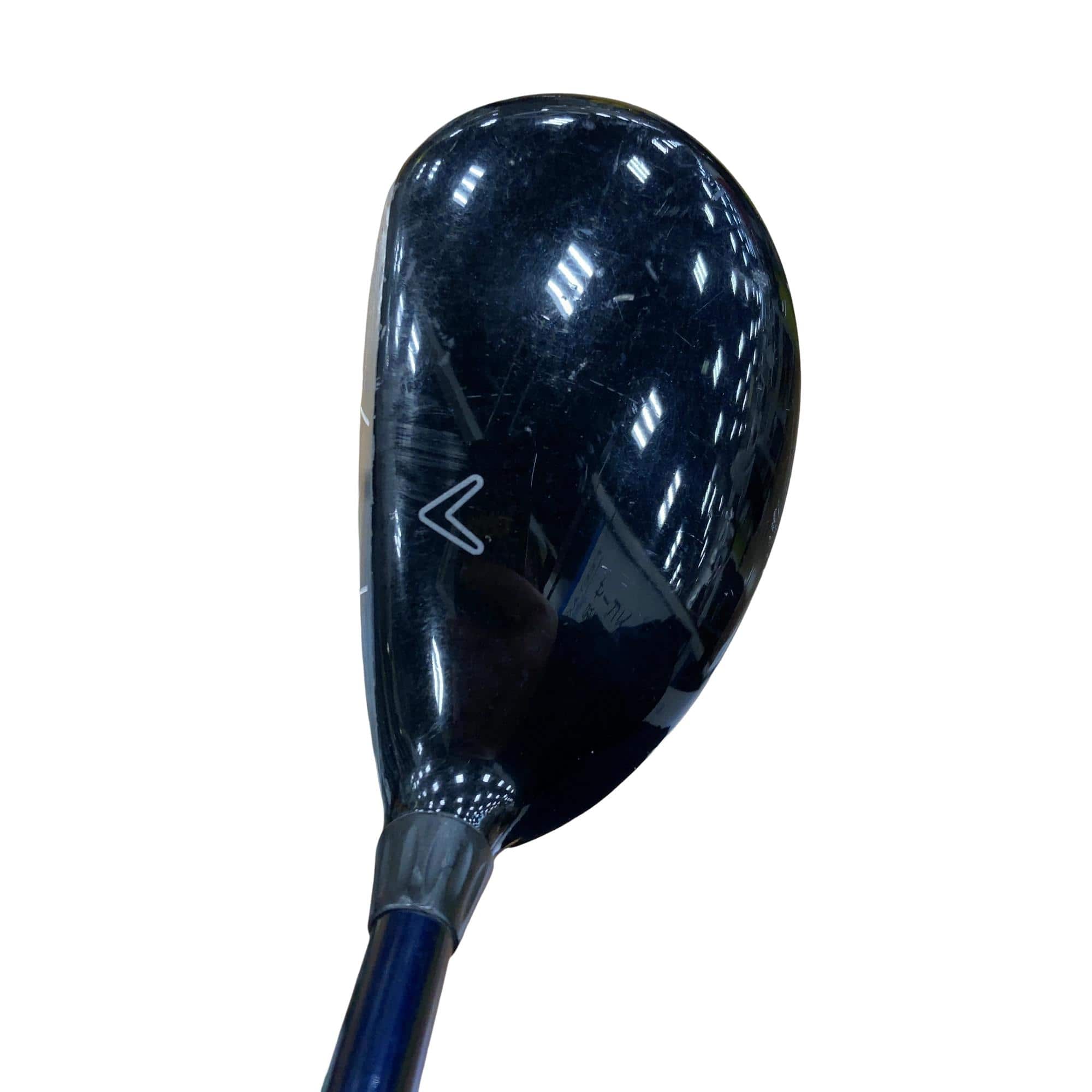 �w�@�c�q�r�@���[�e�B���e�B�@�R�g�i�Q�P°�j