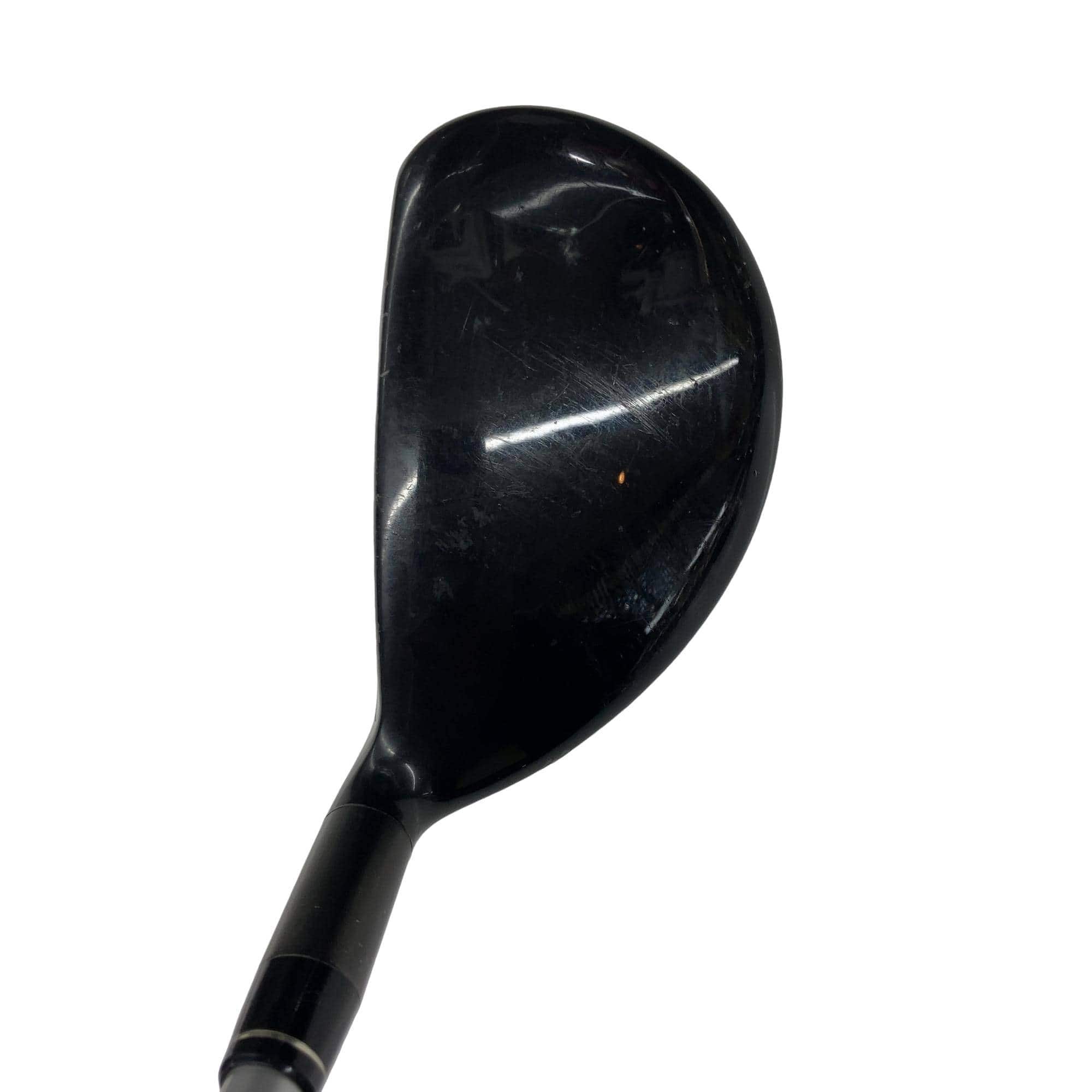 �w�@�g�n�s�@�t�R