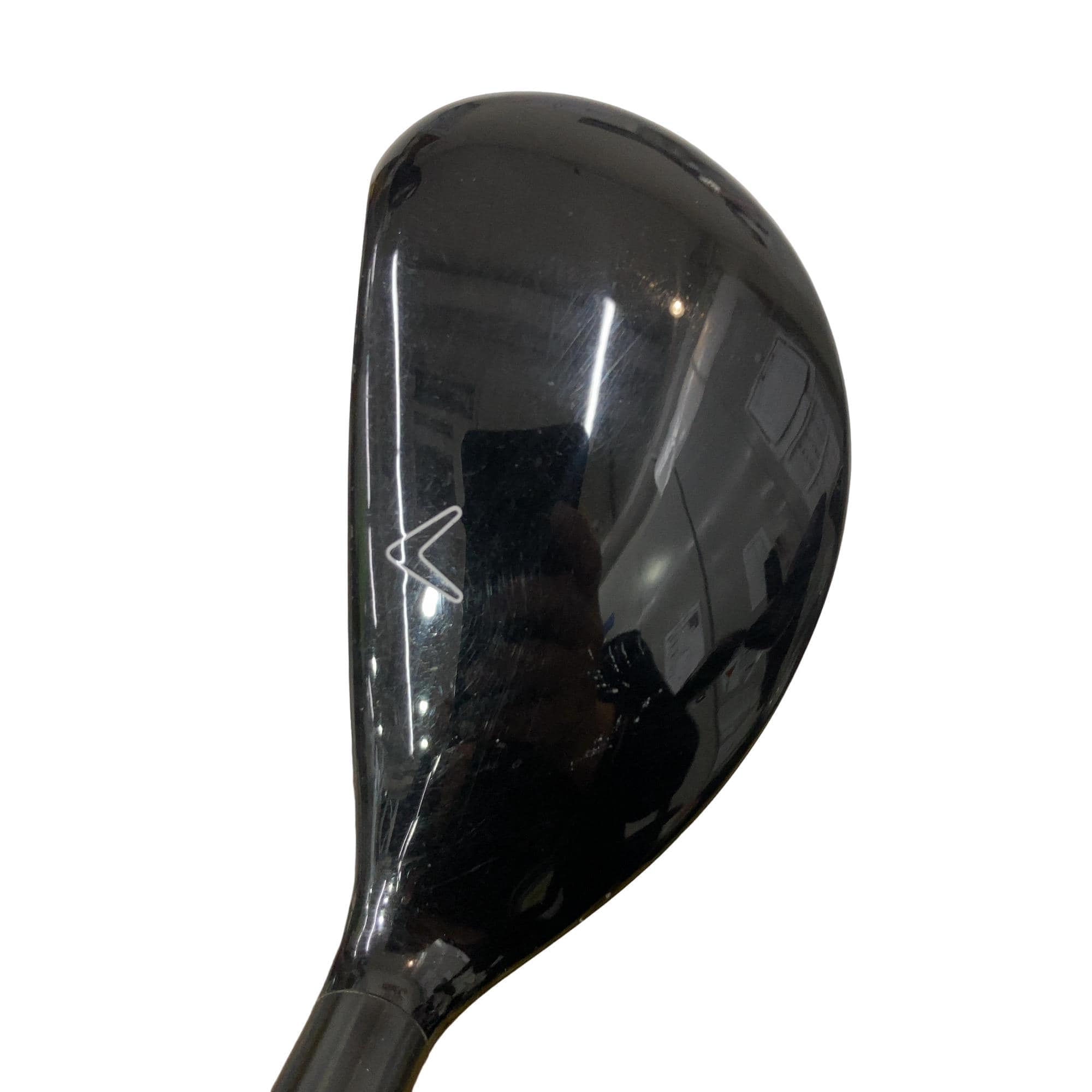 �w�Q�@�g�n�s�@�t�T