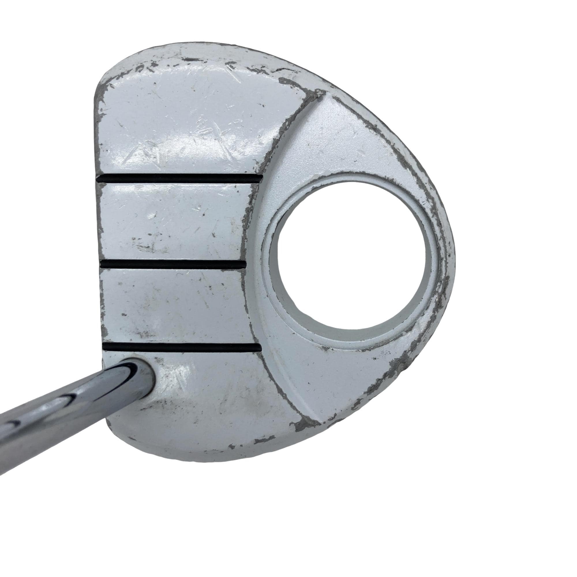 �q���������@�f�g�n�r�s�@���������{�@�b�n�q�y�`�@�R�S�C���`