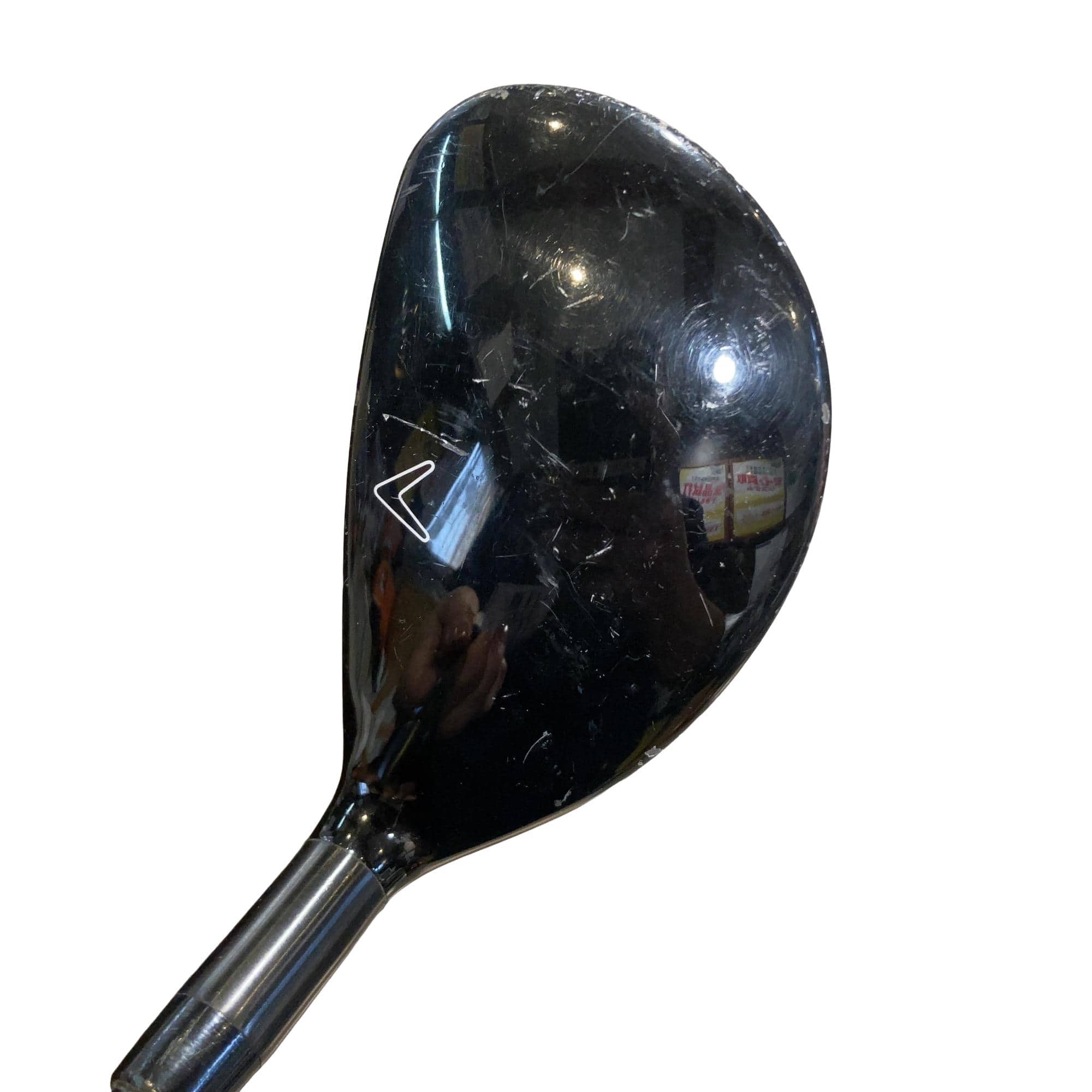 �w�Q�@�g�n�s�@�t�R