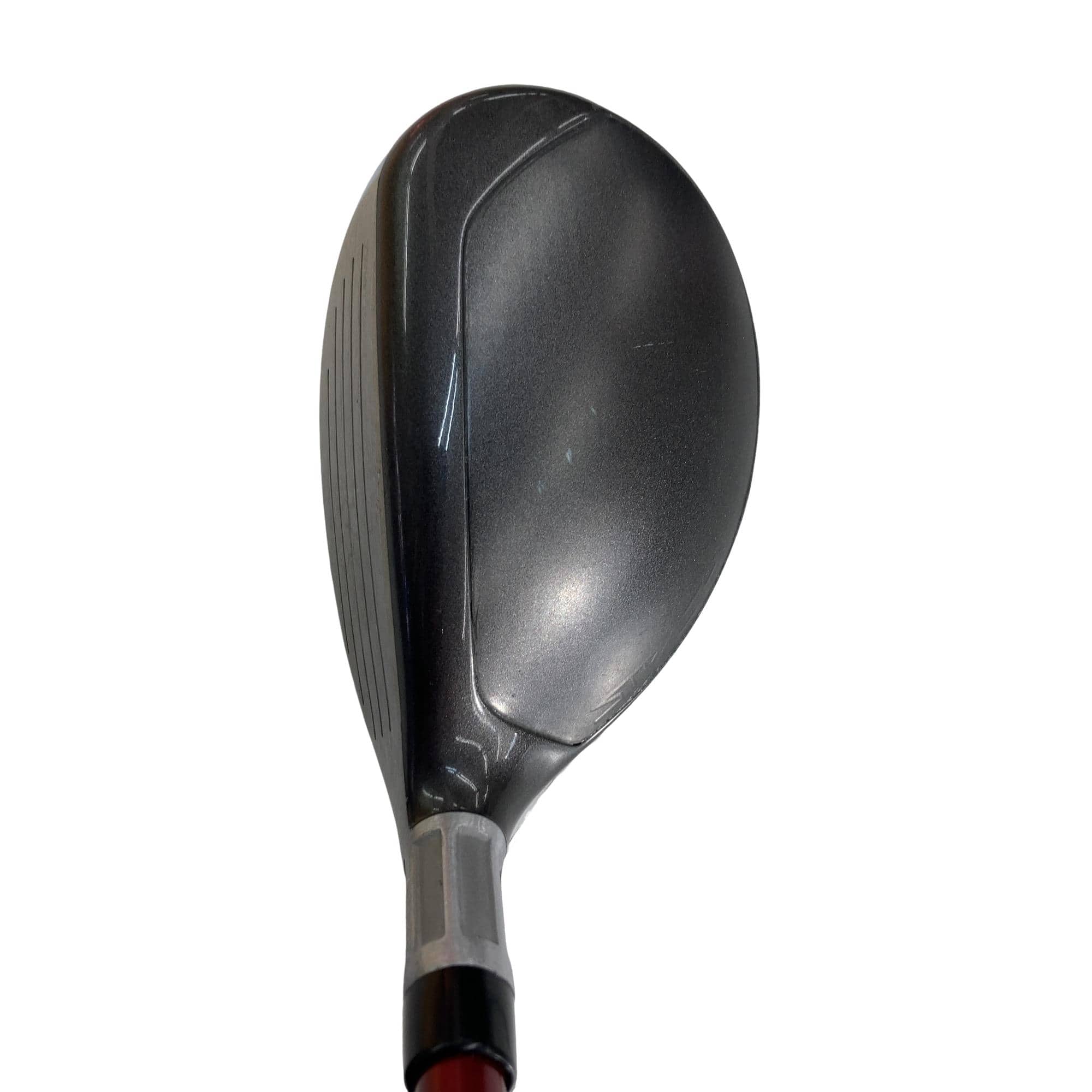 �r�s�d�`�k�s�g�@�t�S�@���f�B�[�X