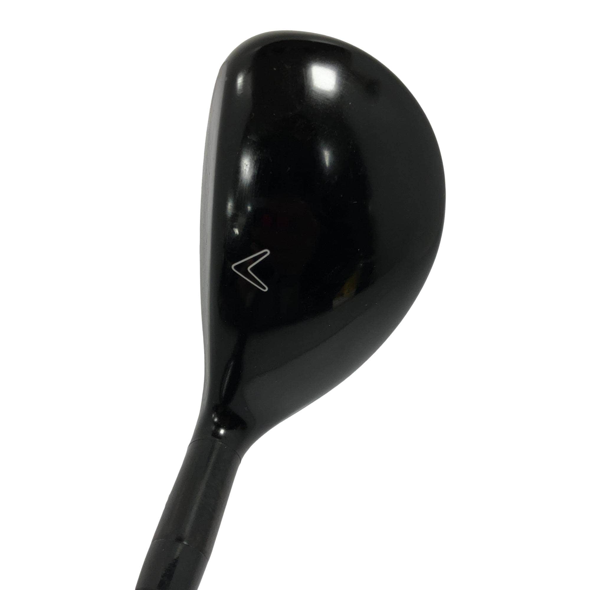 �w�Q�@�g�n�s�@�t�T