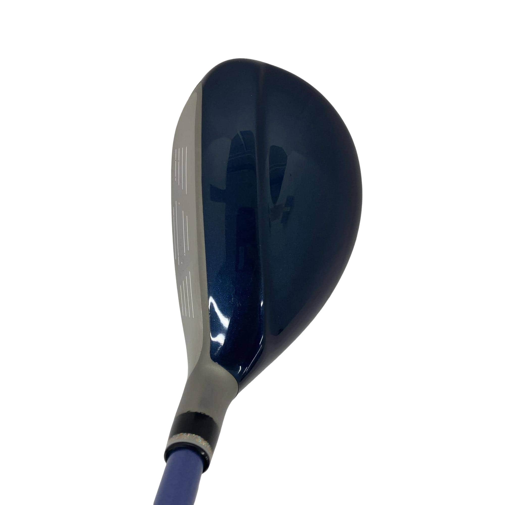 �w�w�h�n�i�Q�O�Q�O�j�@�g�V�@���f�B�[�X