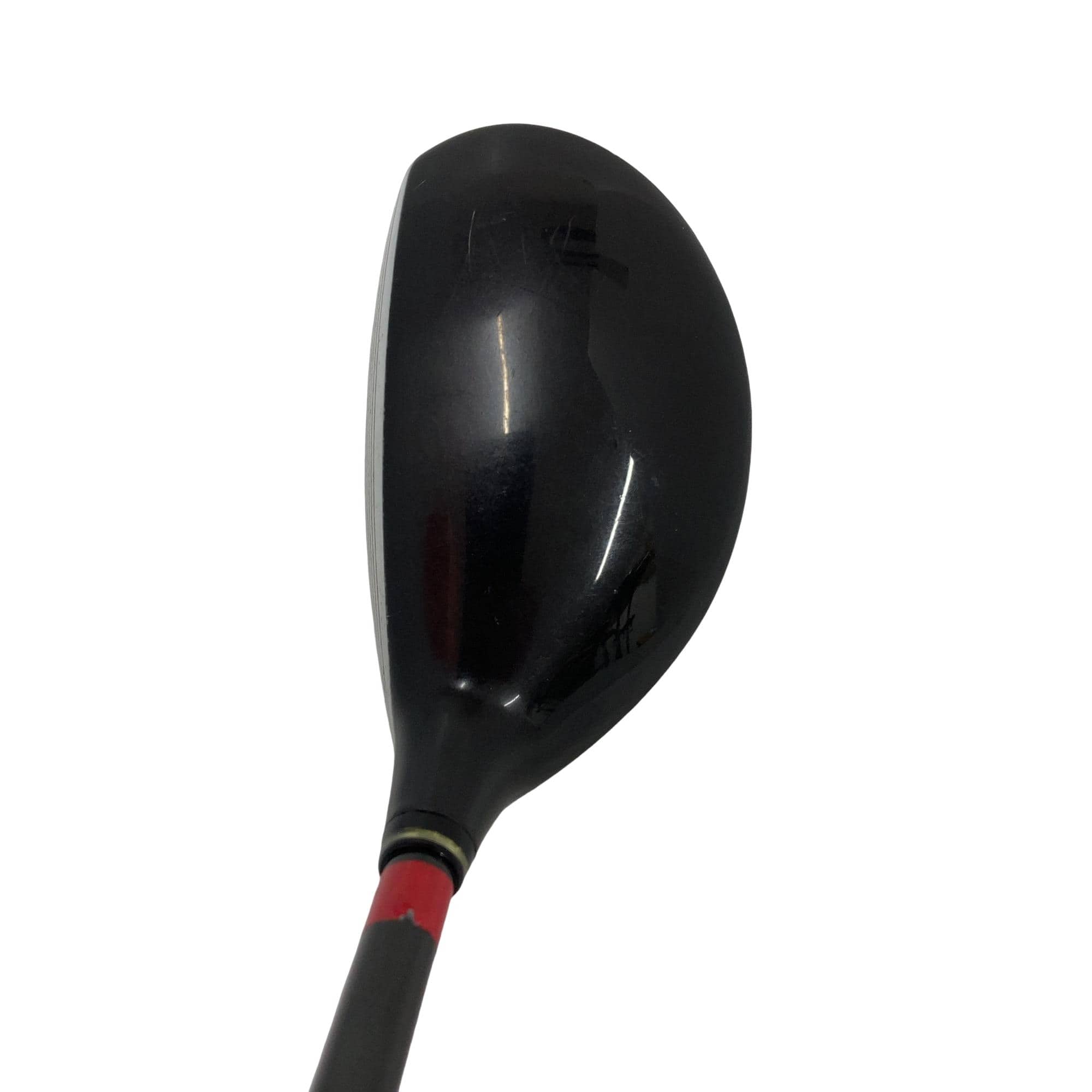 �o�n�v�d�q�@�s�n�q�m�`�c�n�@�d�|�r�������@�T�T