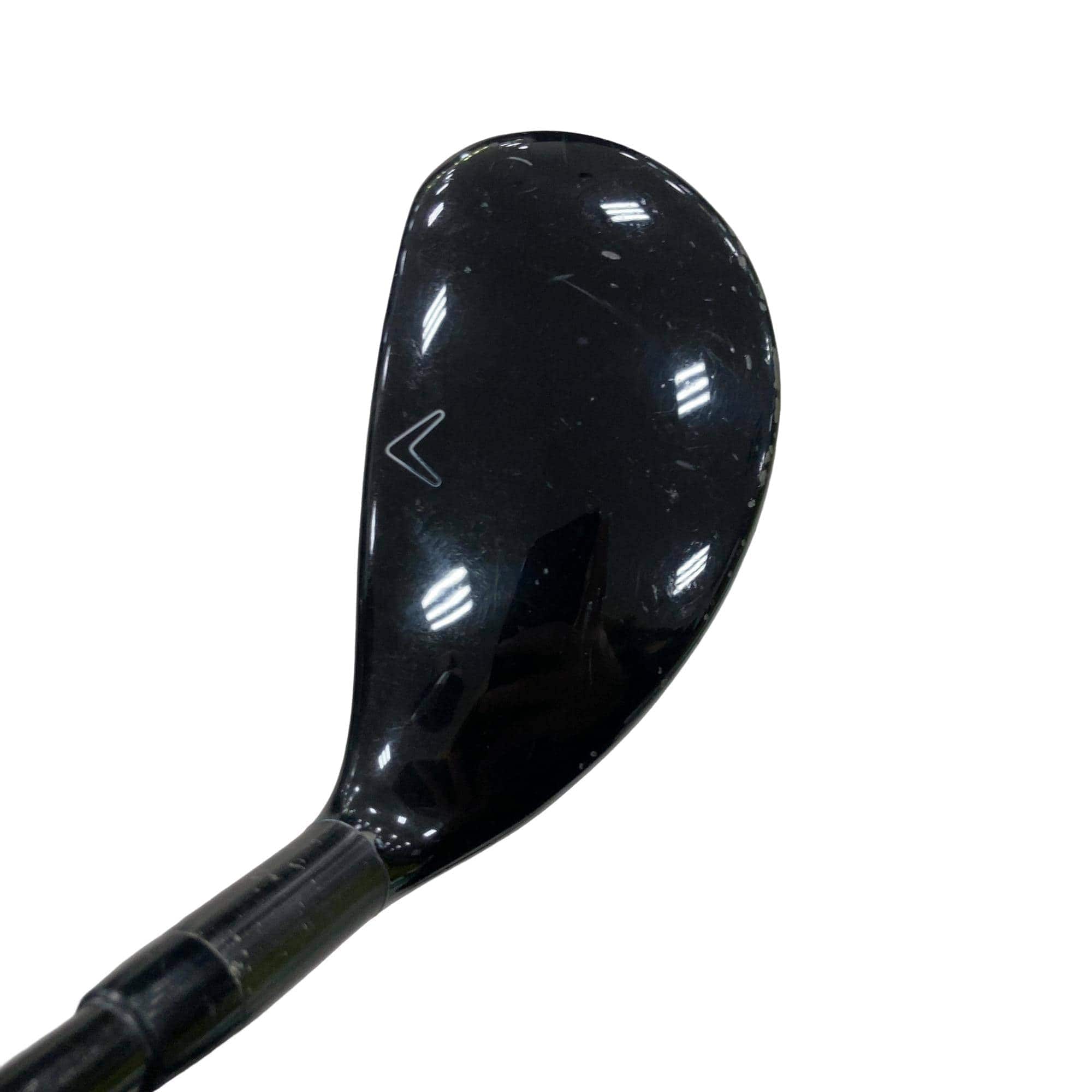 �w�Q�@�g�n�s�@�t�T