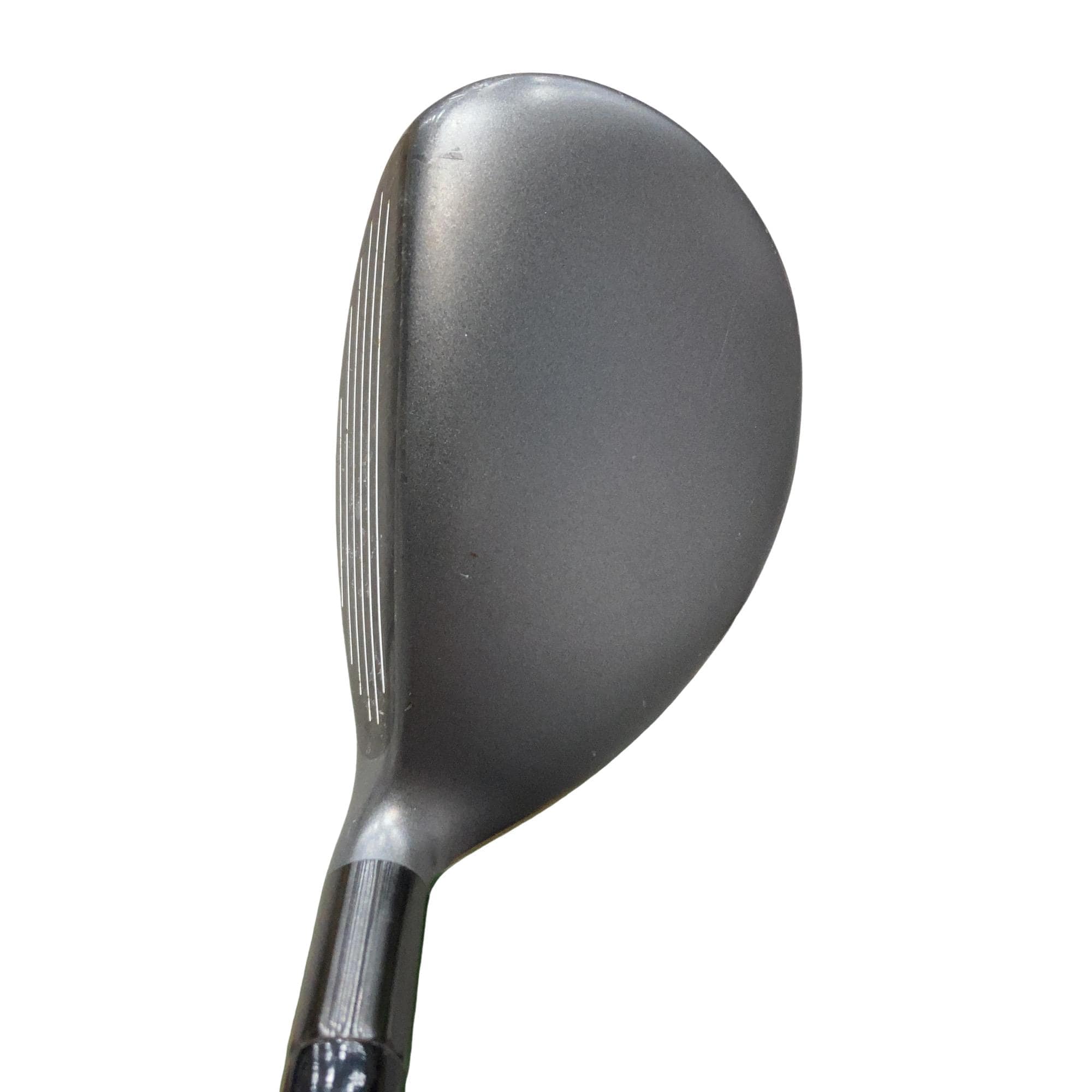 �w�@�g�n�s�@�t�T