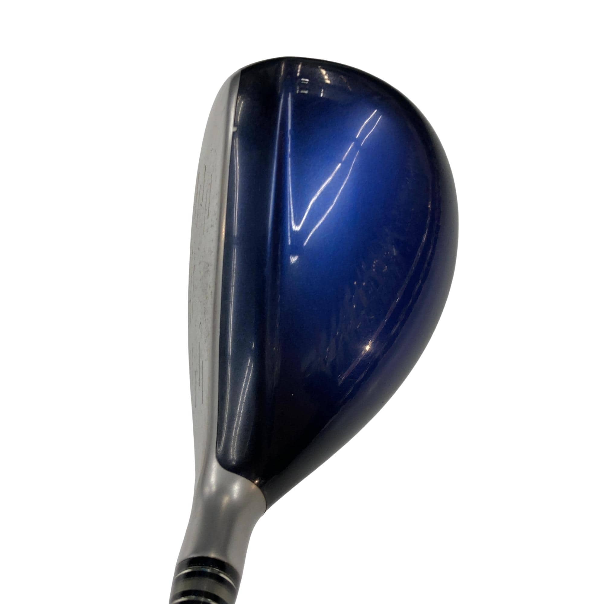 �w�w�h�n�i�Q�O�P�W�j�@�g�T