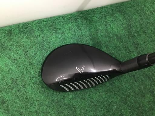 �w�Q�@�g�n�s�@�t�T