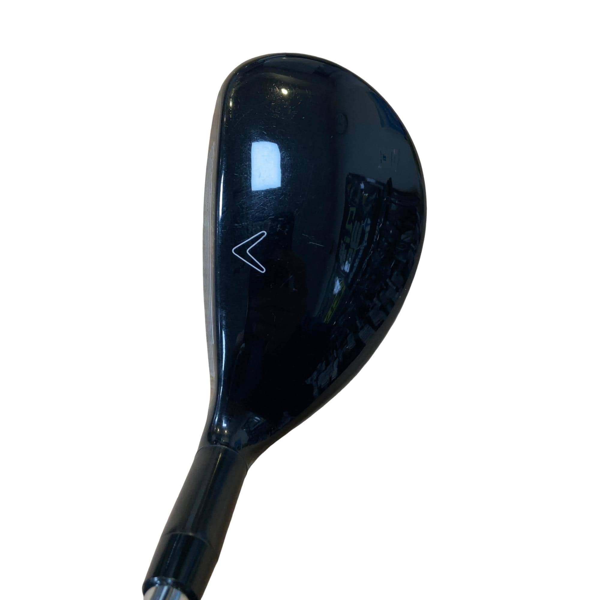 �w�Q�@�g�n�s�@�t�T