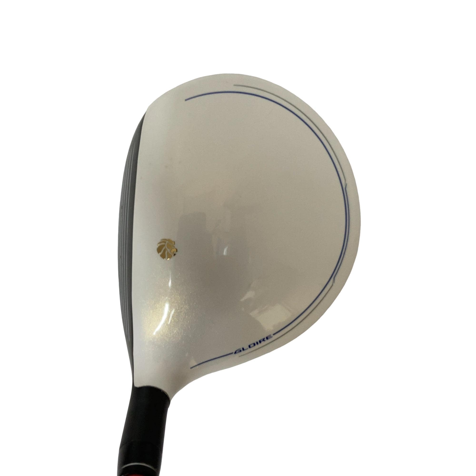 �f�k�n�h�q�d�@�e�i�Q�O�P�U�j�@�T�v