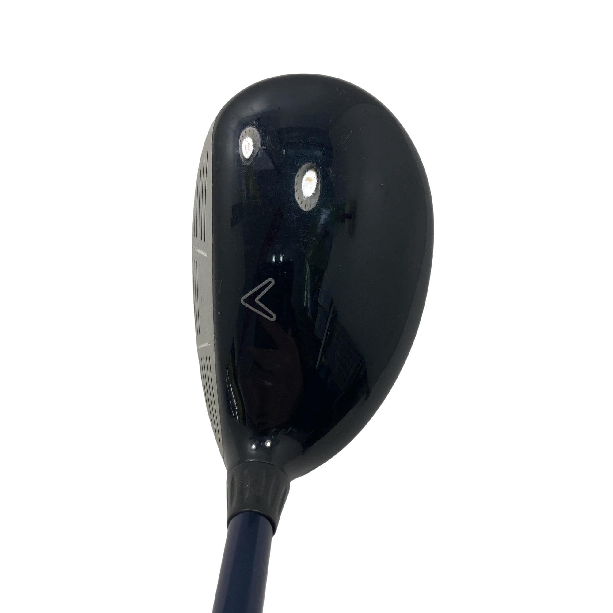 �w�@�c�q�r�@���[�e�B���e�B�@�S�g�i�Q�S°�j