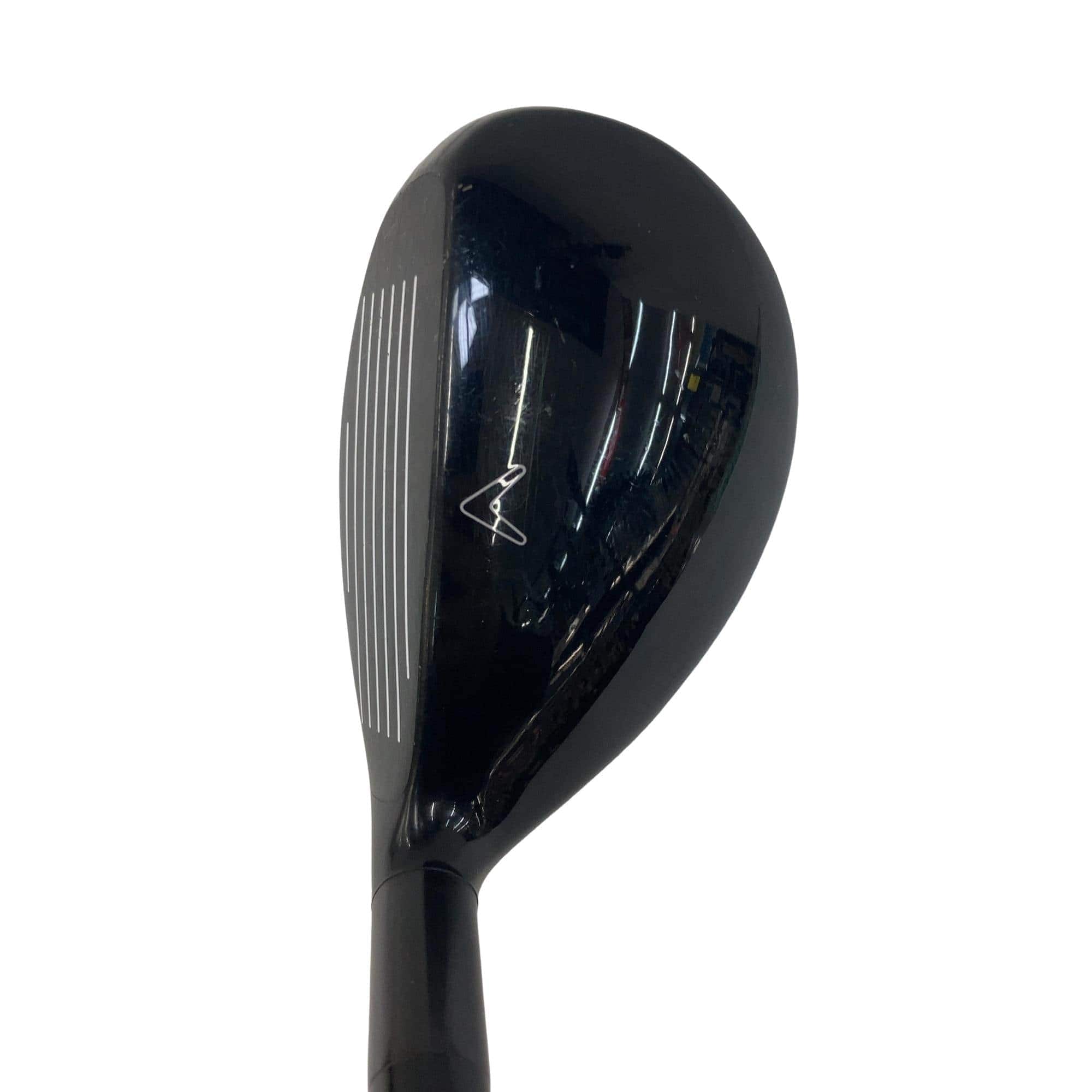 �w�Q�@�g�n�s�@�t�S