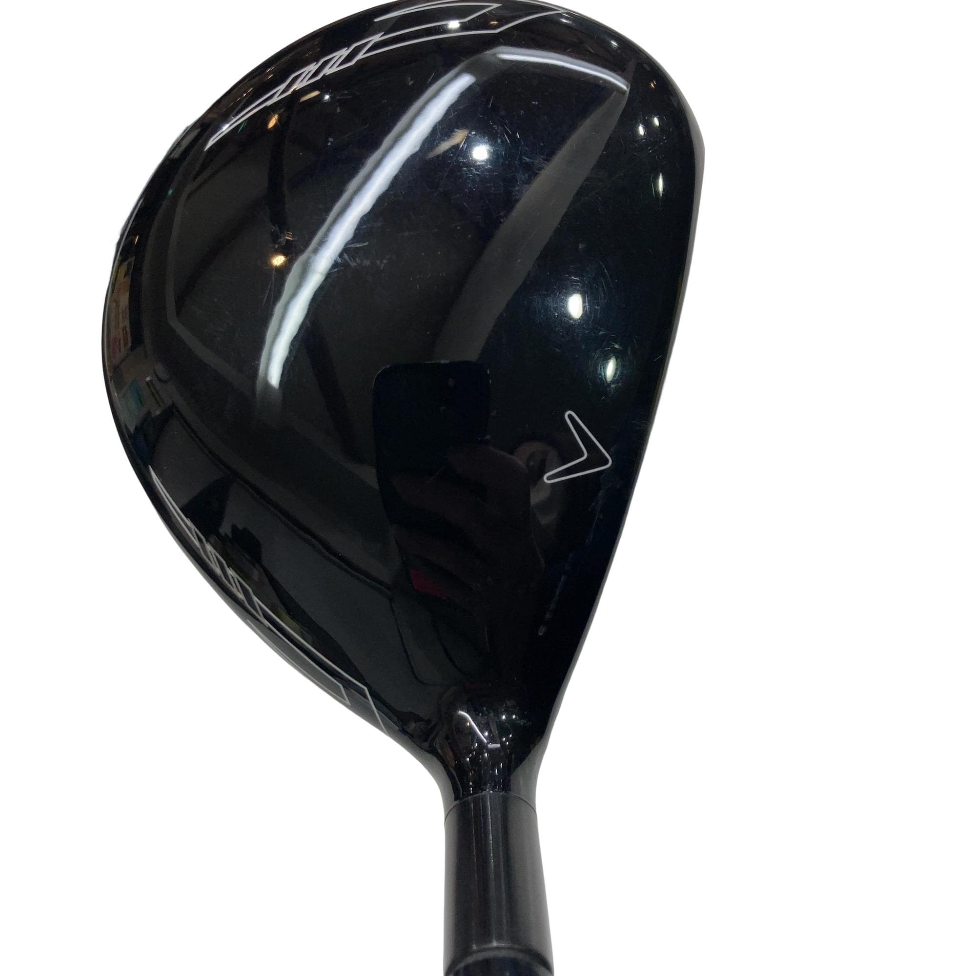 �w�Q�@�g�n�s�@�@�T�v�@���t�e�B