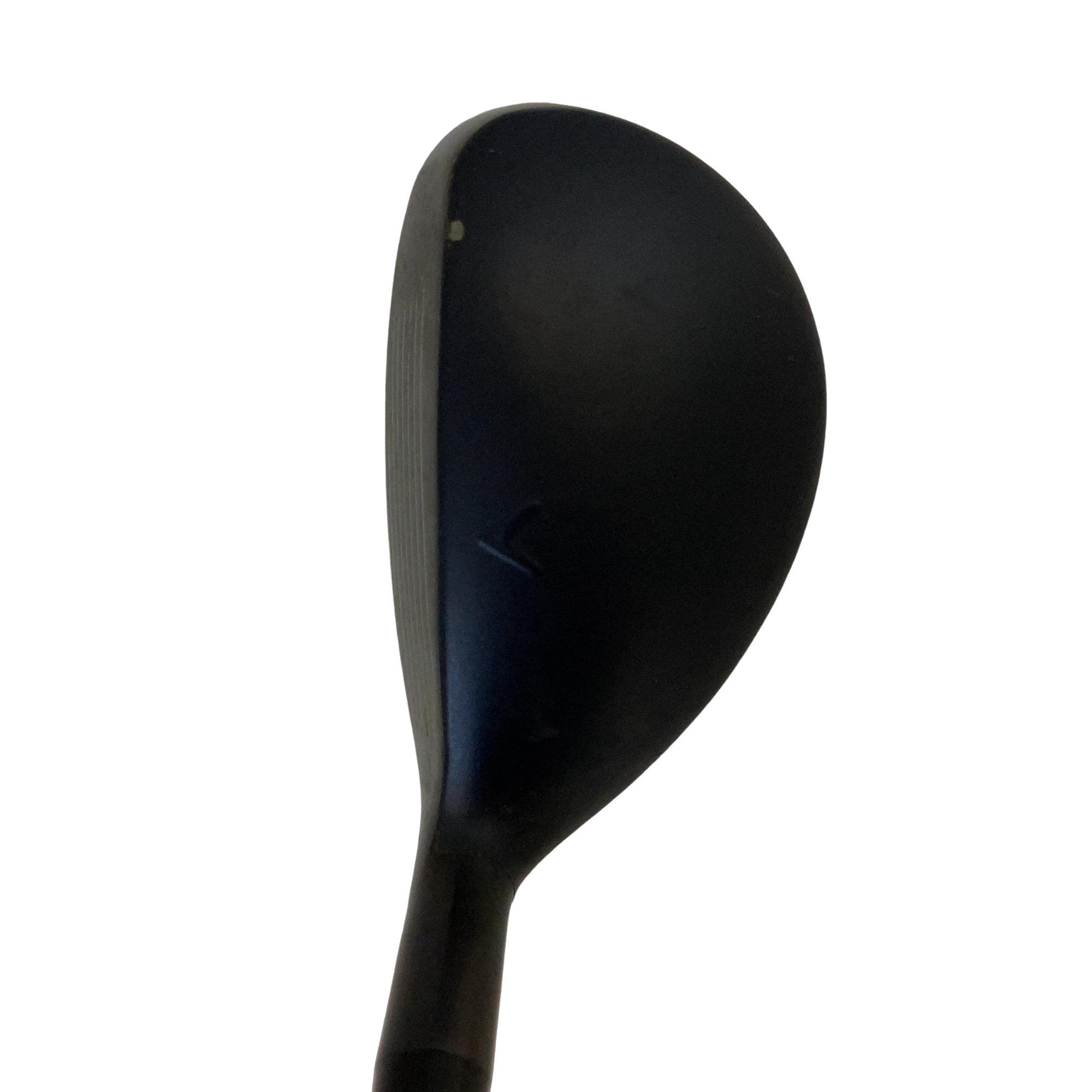 �w�q�@�t�T�@���f�B�[�X