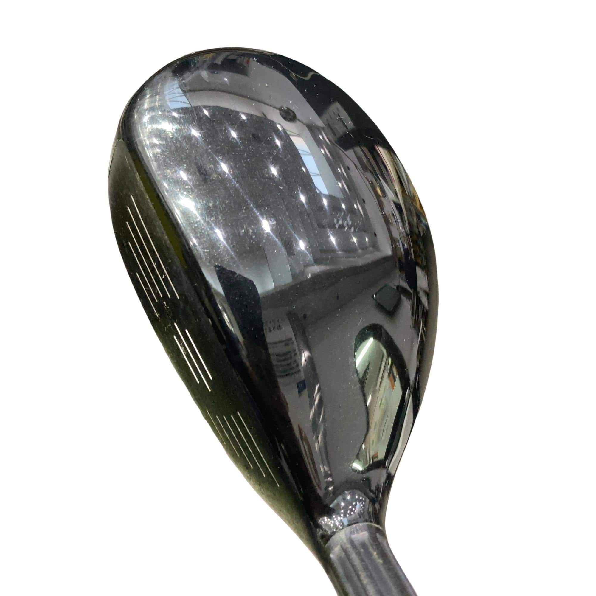 �l�Q�@�t�T�@���f�B�[�X