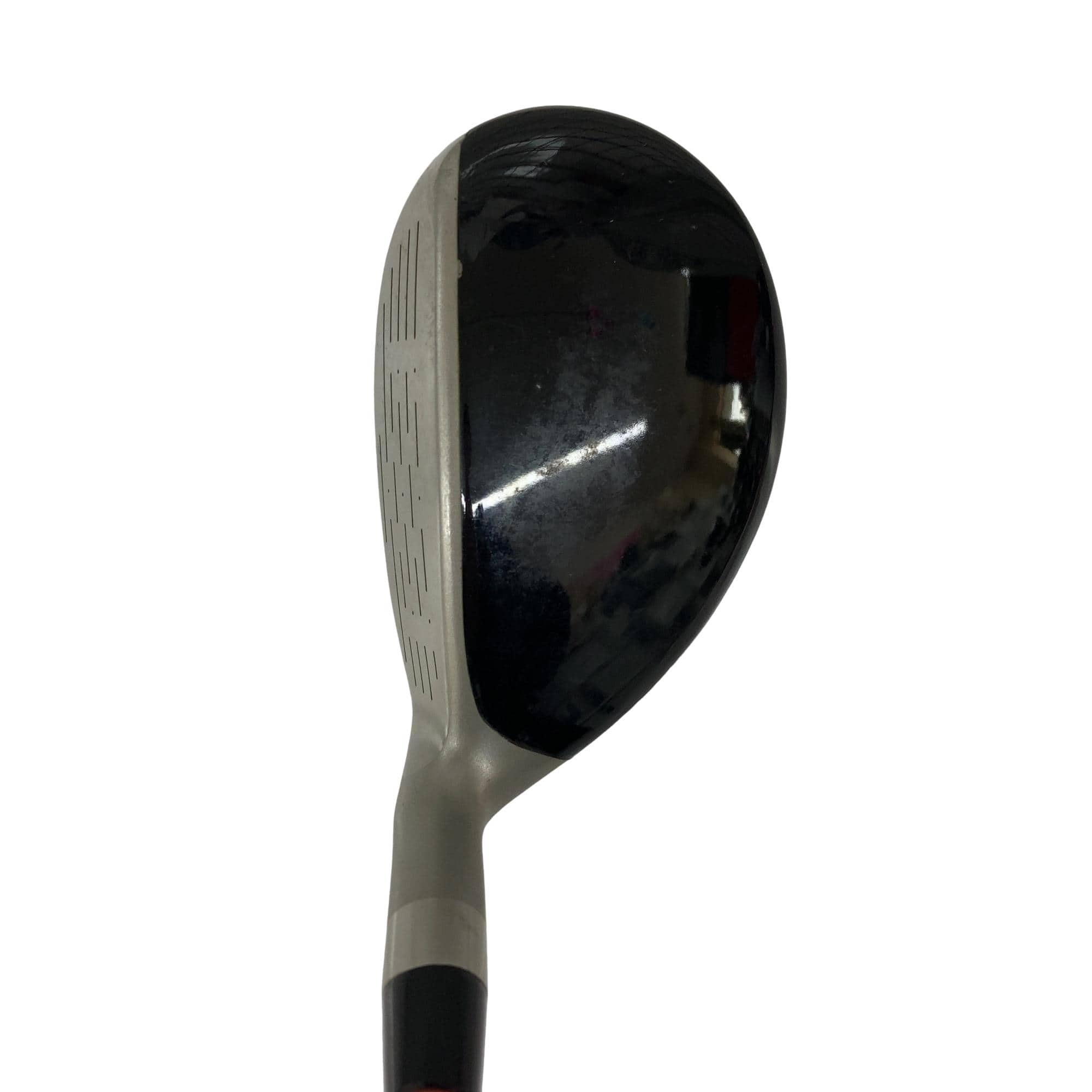 �r�v�n�q�c�@���y�t�@�l�`�w�@�s�f�@�t�S