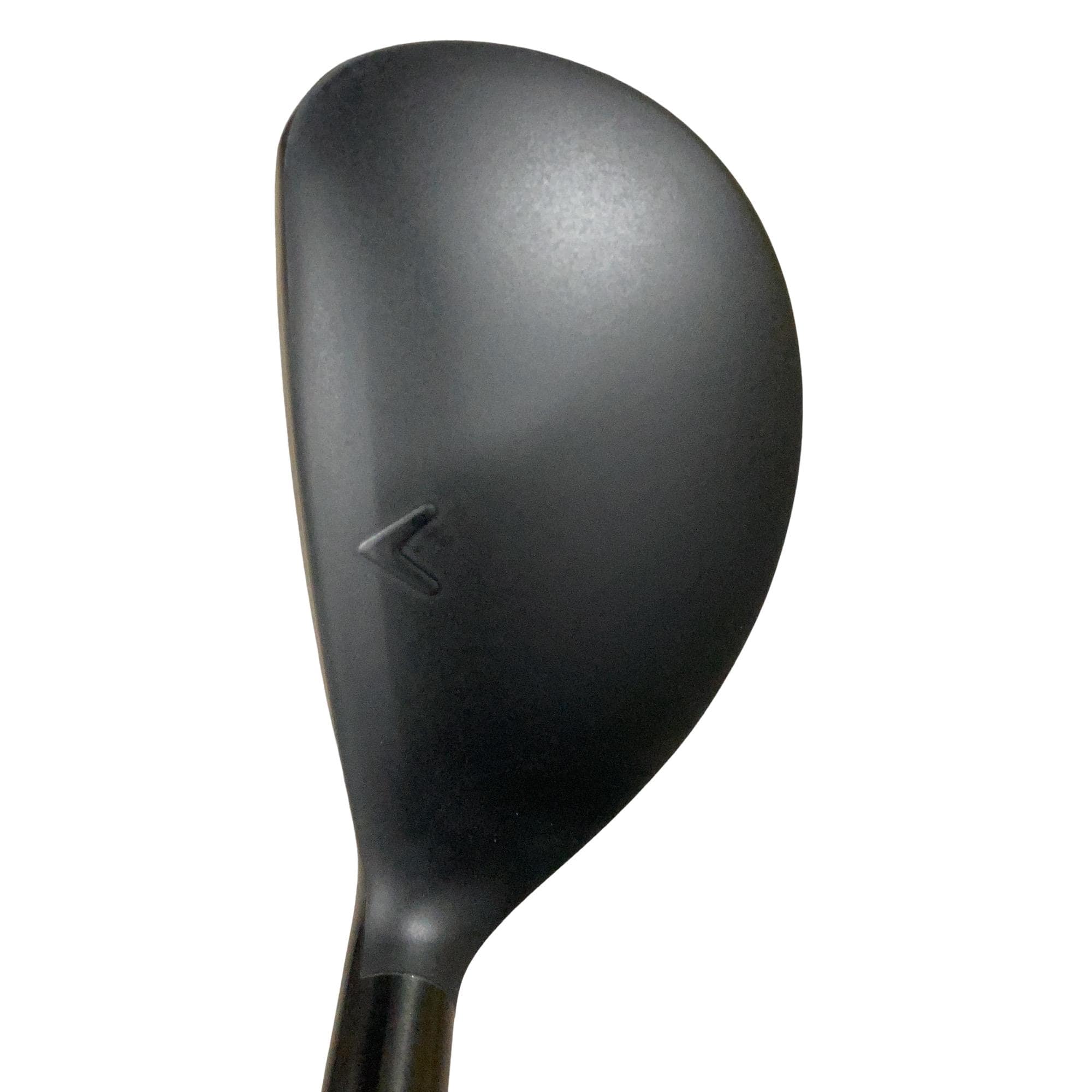 �w�q�@�P�U�@�n�r�@�t�R