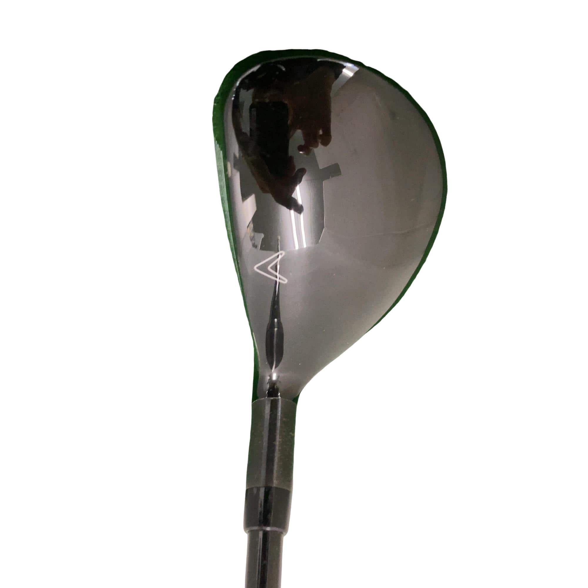 �w�Q�@�g�n�s�@�t�R