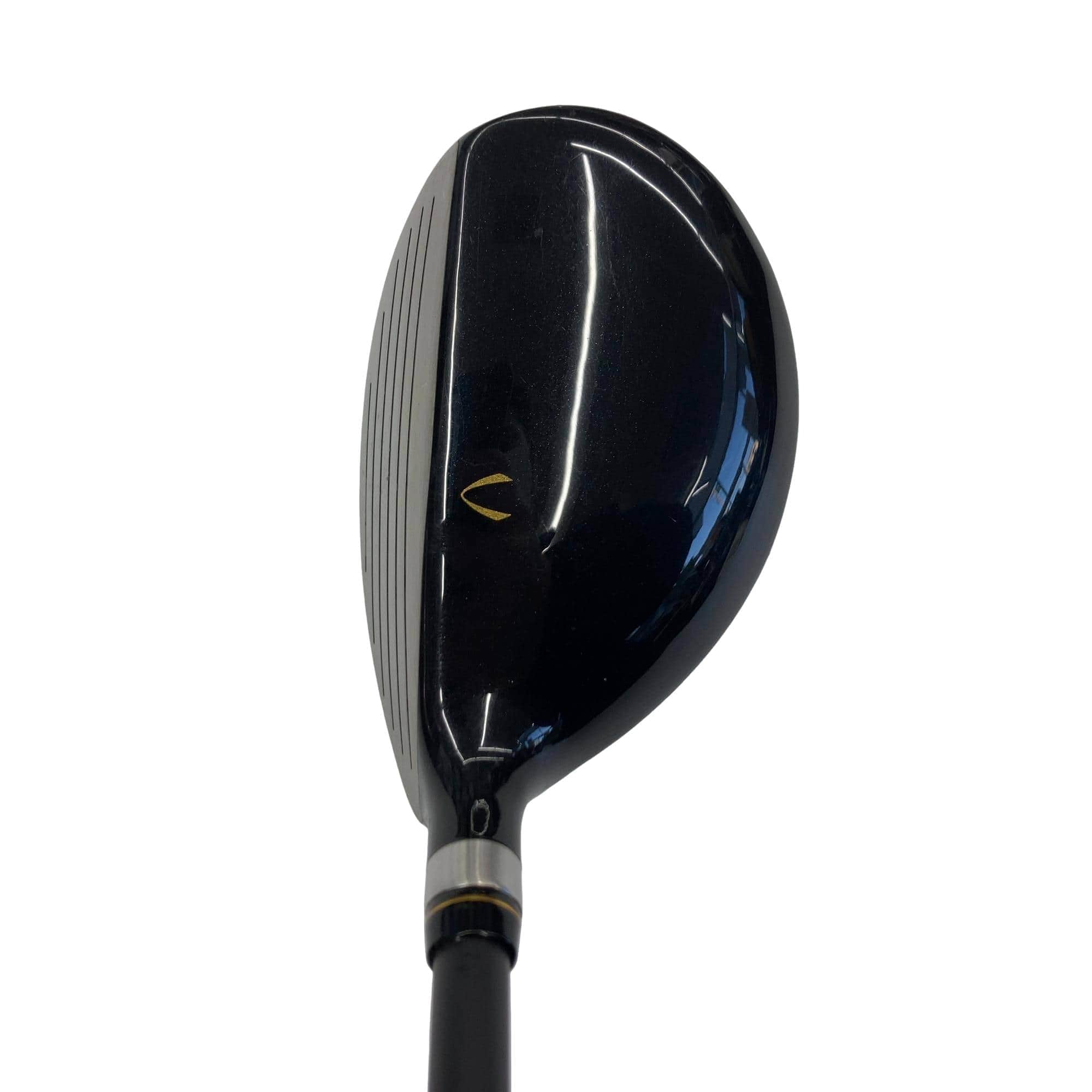 �j�Q�j�@���������O�X���[�e�B���e�B�@�t�T