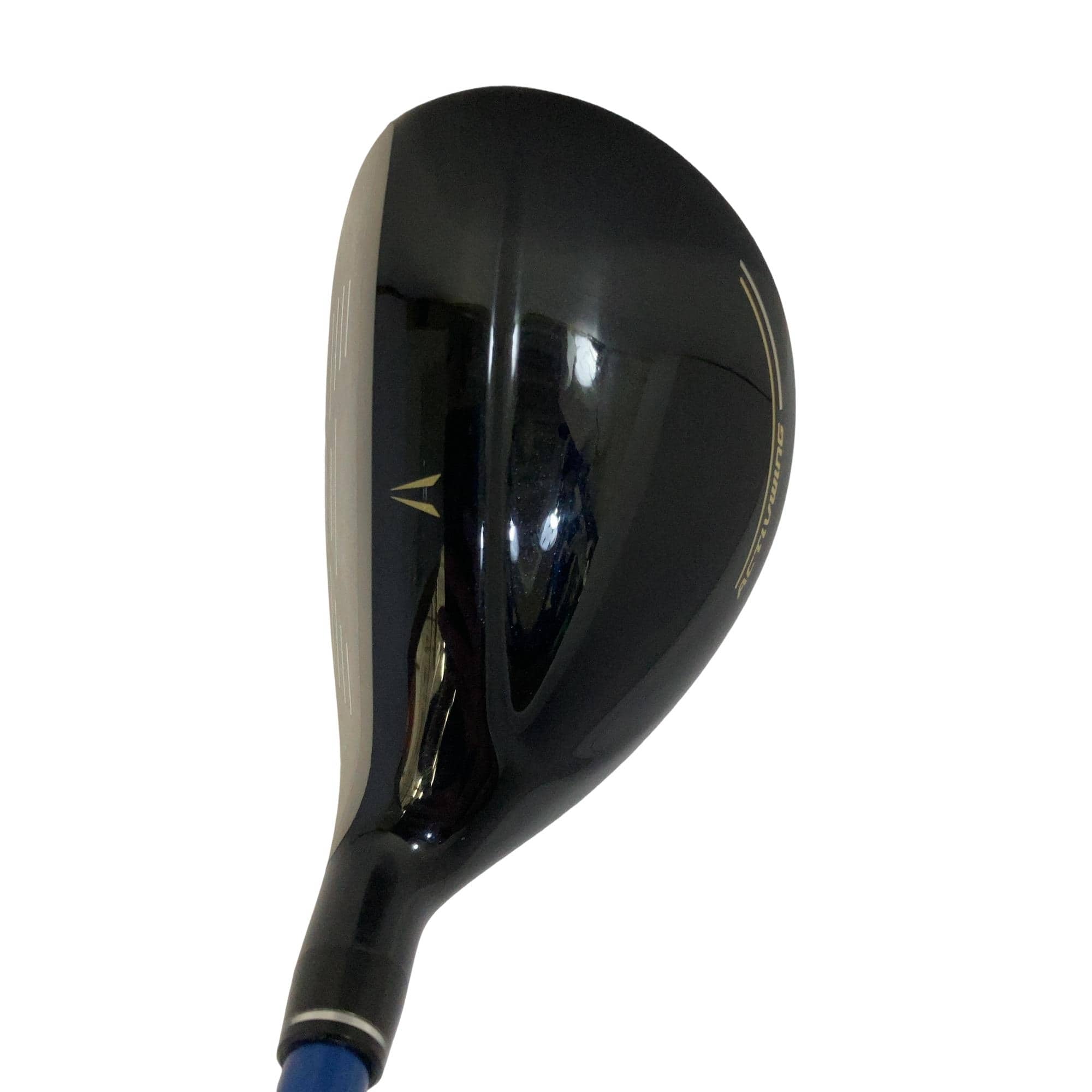 �w�w�h�n�i�Q�O�Q�S�j�@�g�T