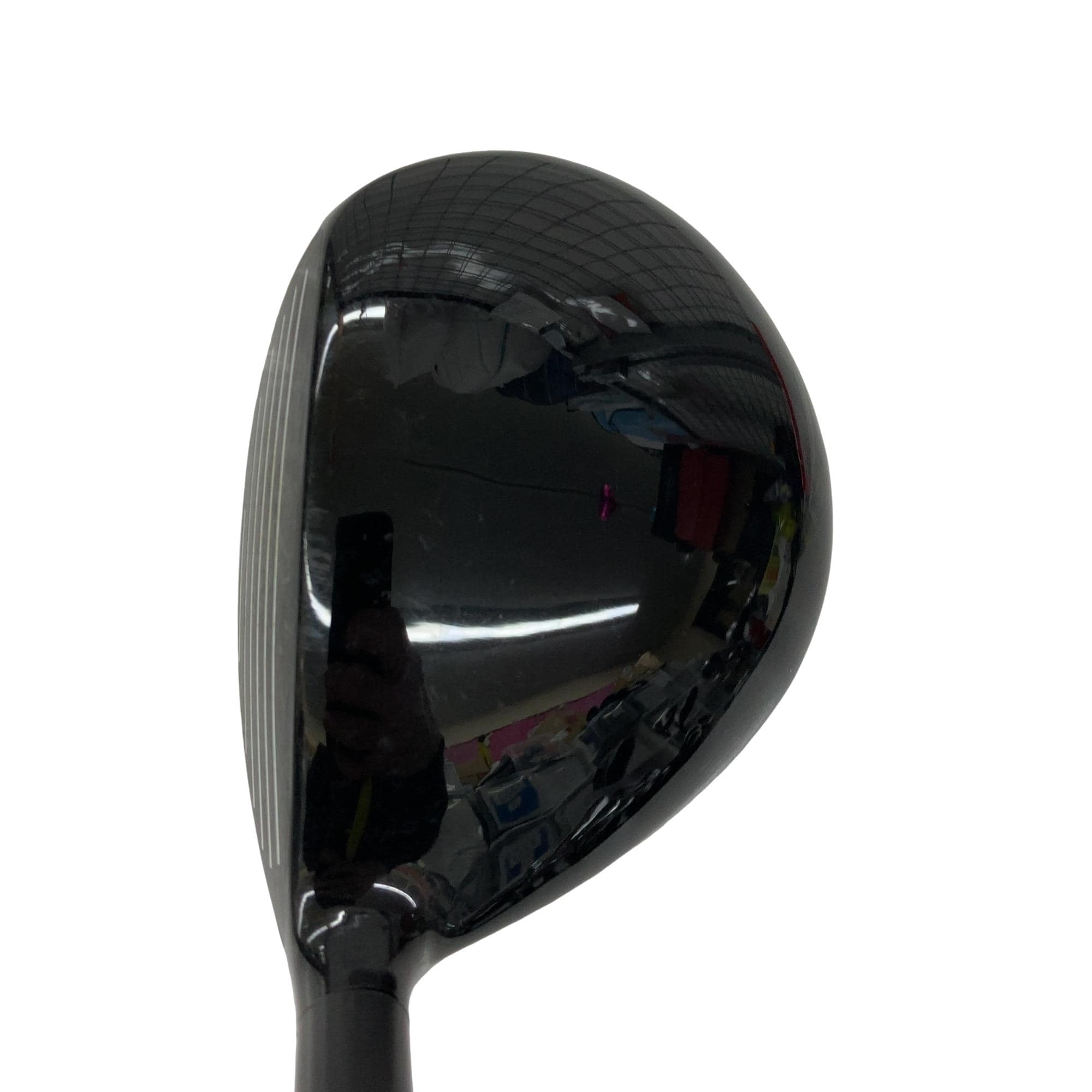 �w�Q�@�g�n�s�@�o�q�n�@�P�T°