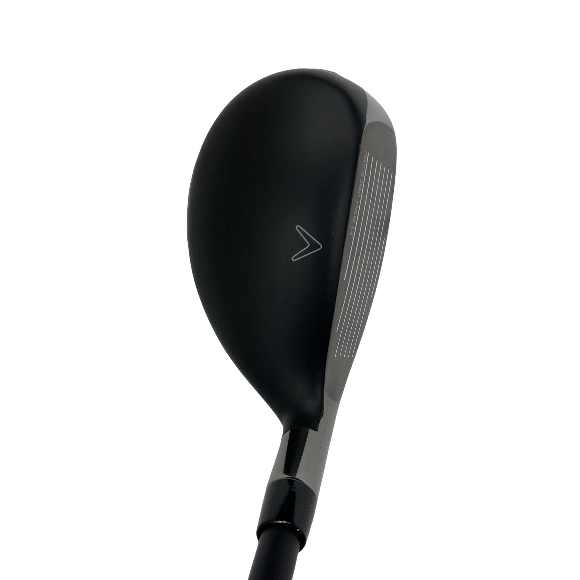 �q�n�f�t�d�@�r�s�@�l�`�w�@�t�S�@���t�e�B