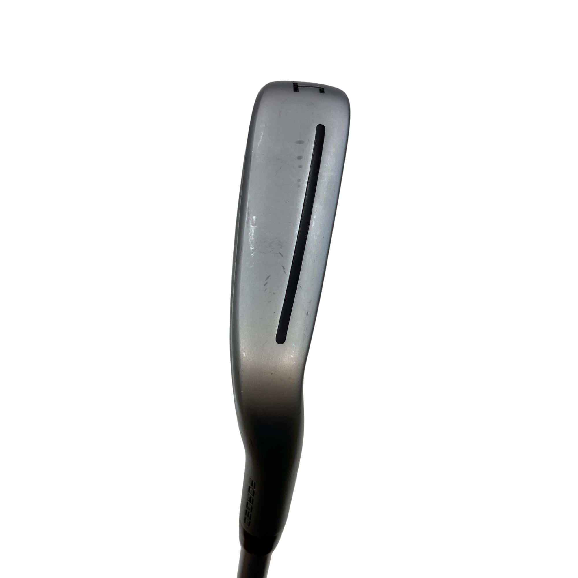 �s�����������@�l�������@�o�E�t�c�h�@�t�S