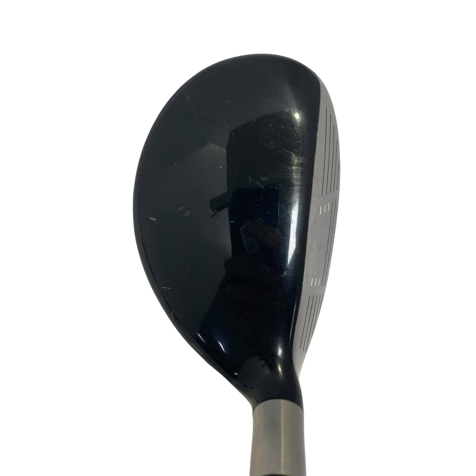 �e�s�@���[�e�B���e�B�@�c�q�`�v�@�R�g�@���t�e�B