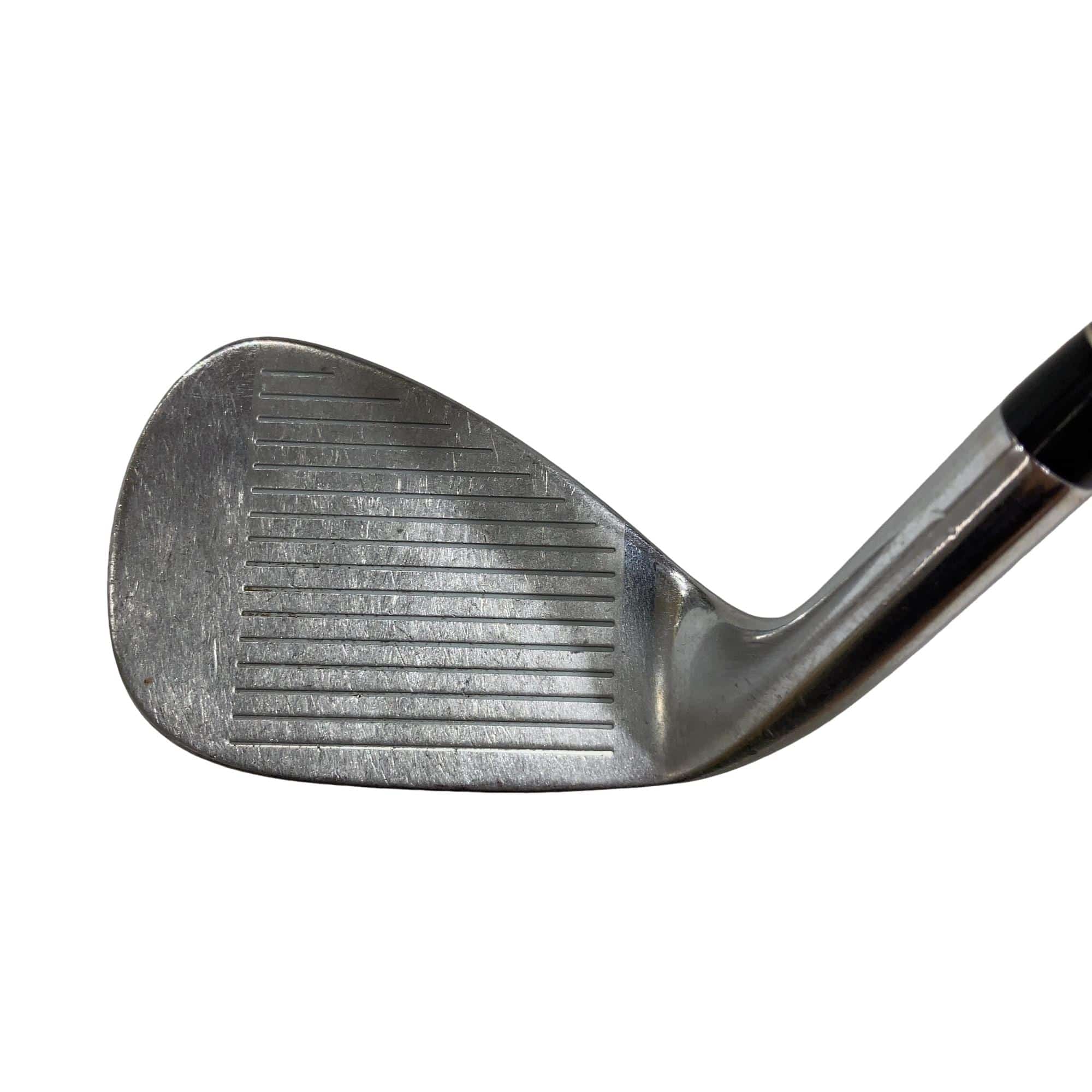 �q�r�@�`�^���t�F�[�X�@�r�v