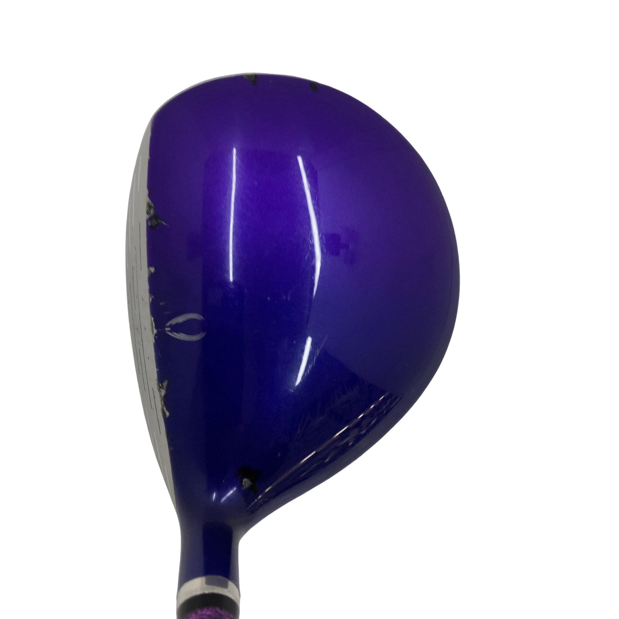 �e�����������i�Q�O�P�T�j�@�S�v�@���f�B�[�X