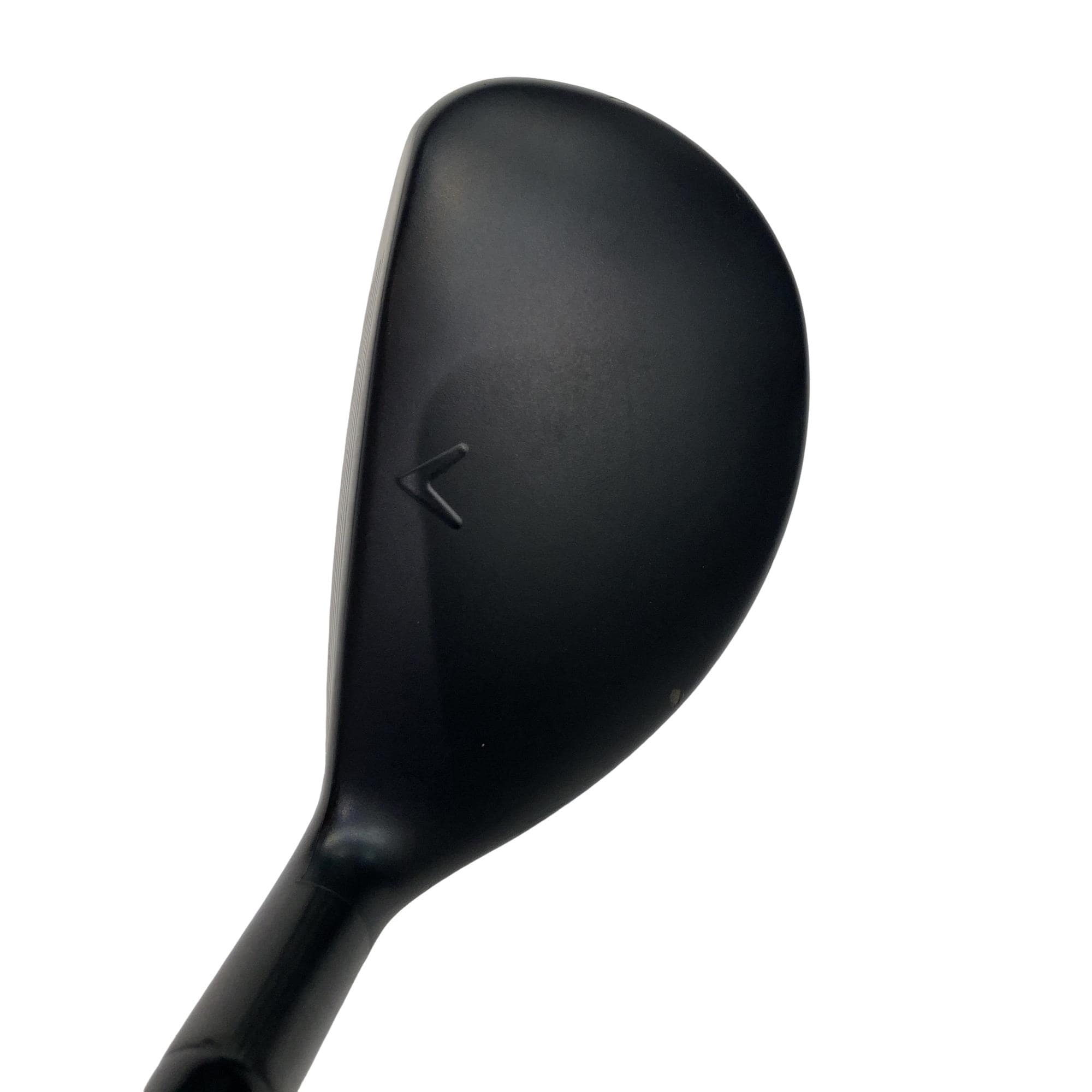 �w�q�@�P�U�@�n�r�@�t�T