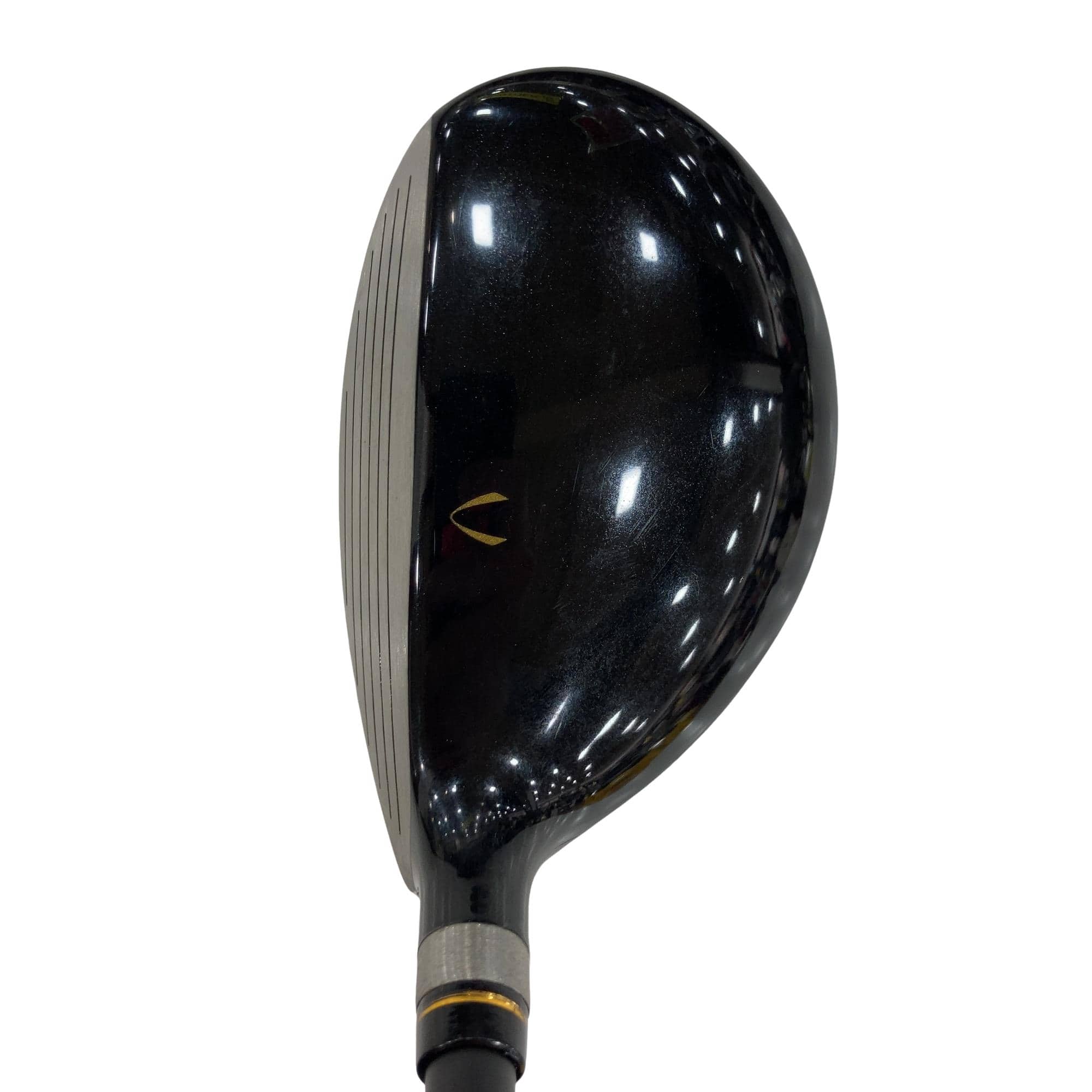 �j�Q�j�@���������O�X���[�e�B���e�B�@�t�T