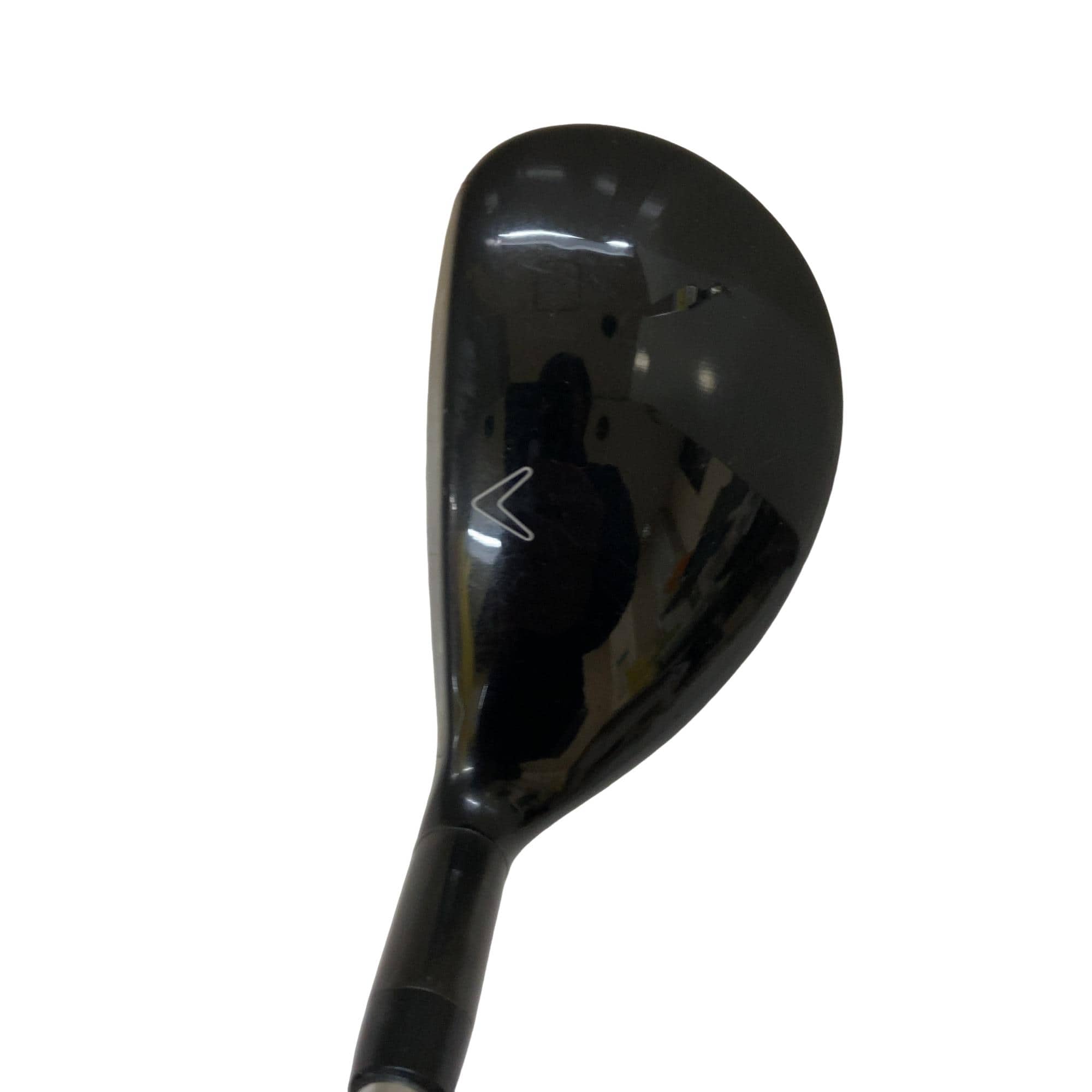 �w�Q�@�g�n�s�@�t�R